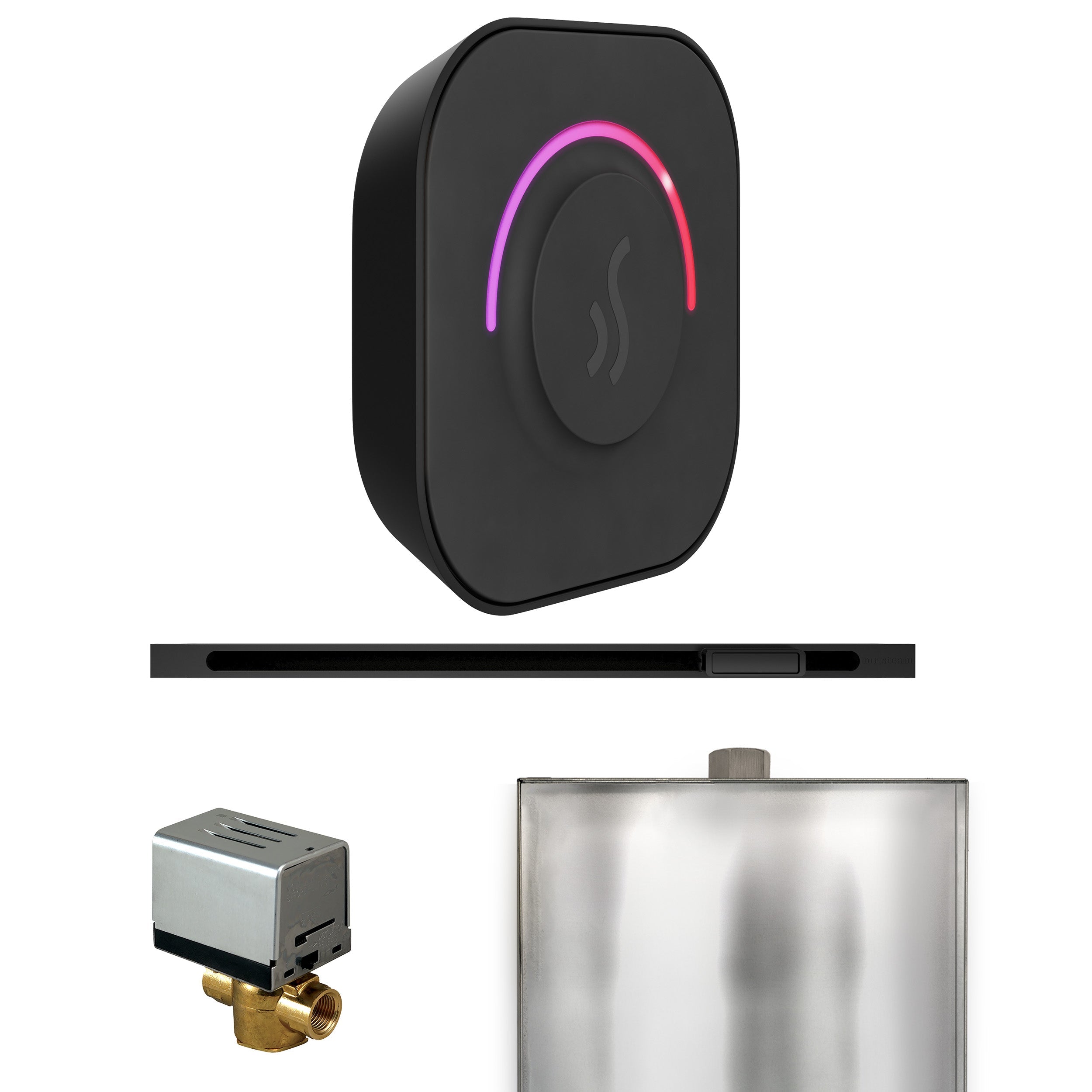 Mr. Steam ButlerTouch Steam Shower Control Package with TempoTouch Control and Linear Steamhead Mr. Steam