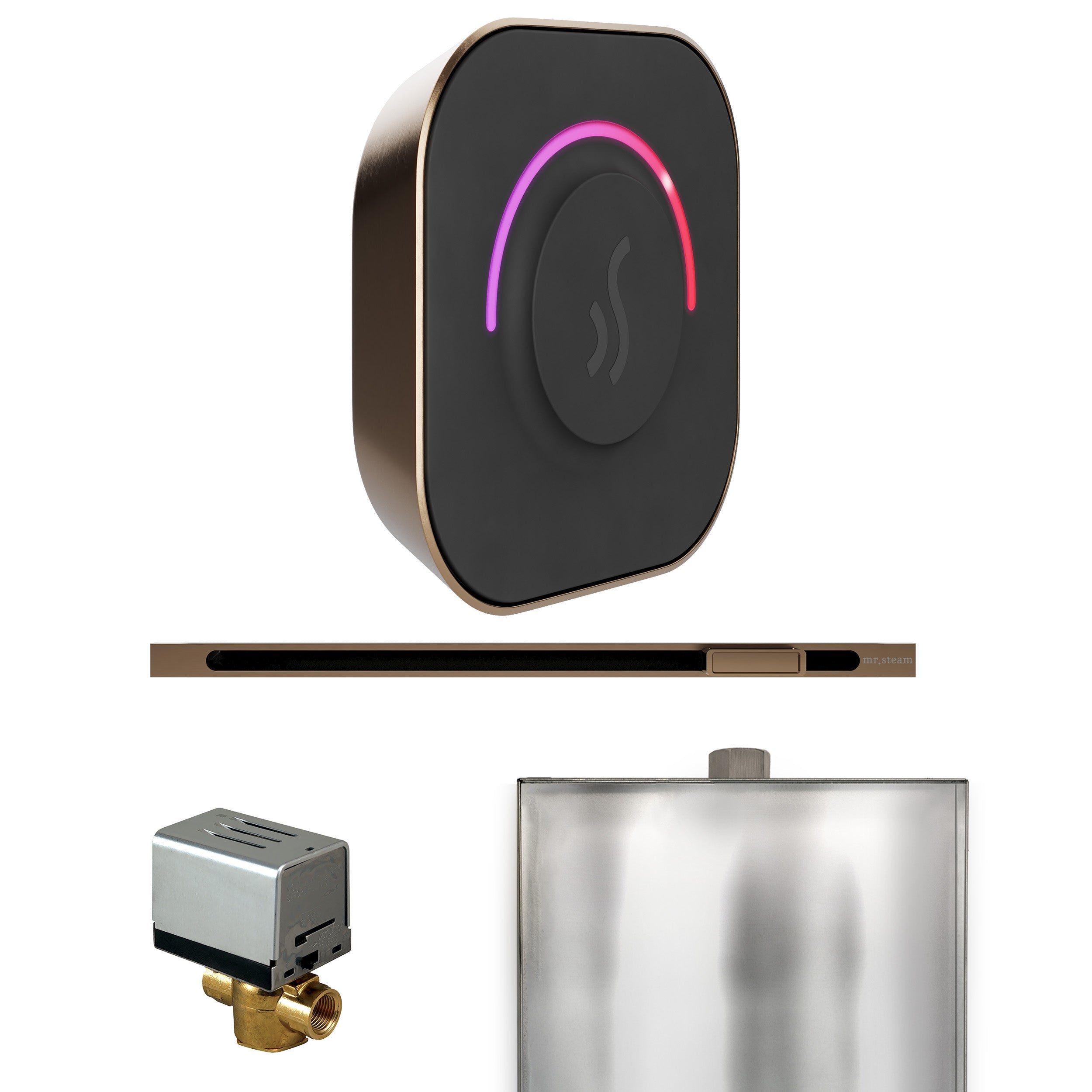 Mr. Steam ButlerTouch Steam Shower Control Package with TempoTouch Control and Linear Steamhead Mr. Steam
