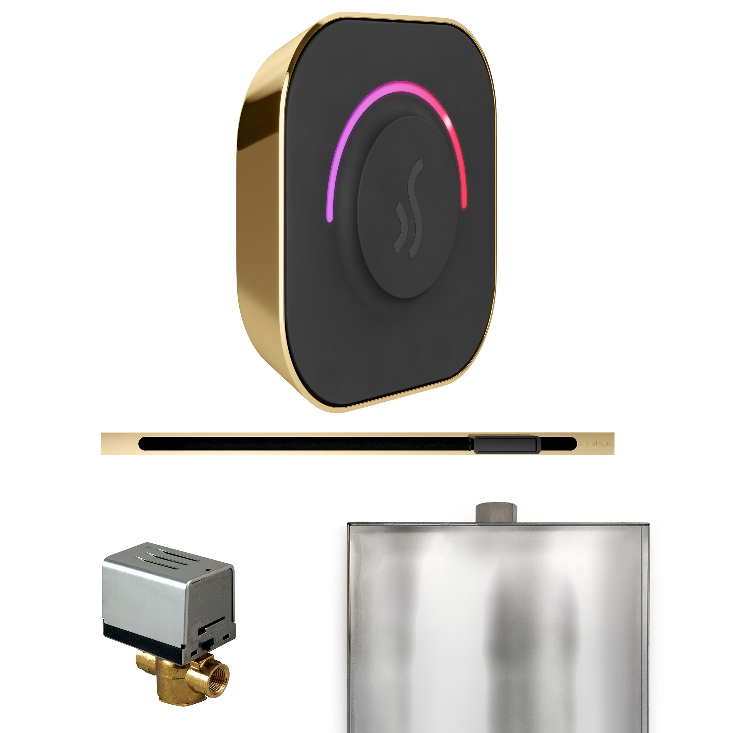Mr. Steam ButlerTouch Steam Shower Control Package with TempoTouch Control and Linear Steamhead Mr. Steam