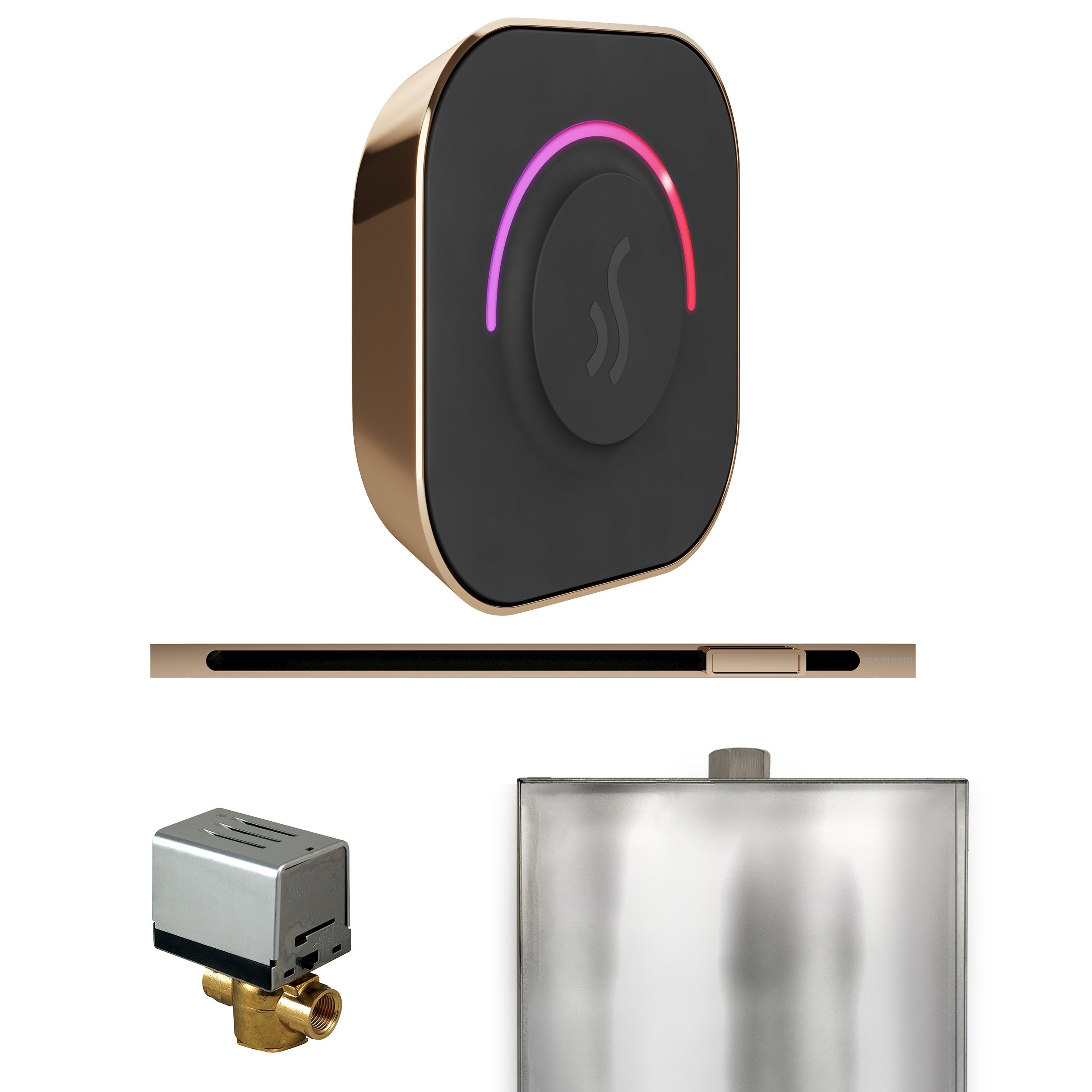 Mr. Steam ButlerTouch Steam Shower Control Package with TempoTouch Control and Linear Steamhead Mr. Steam