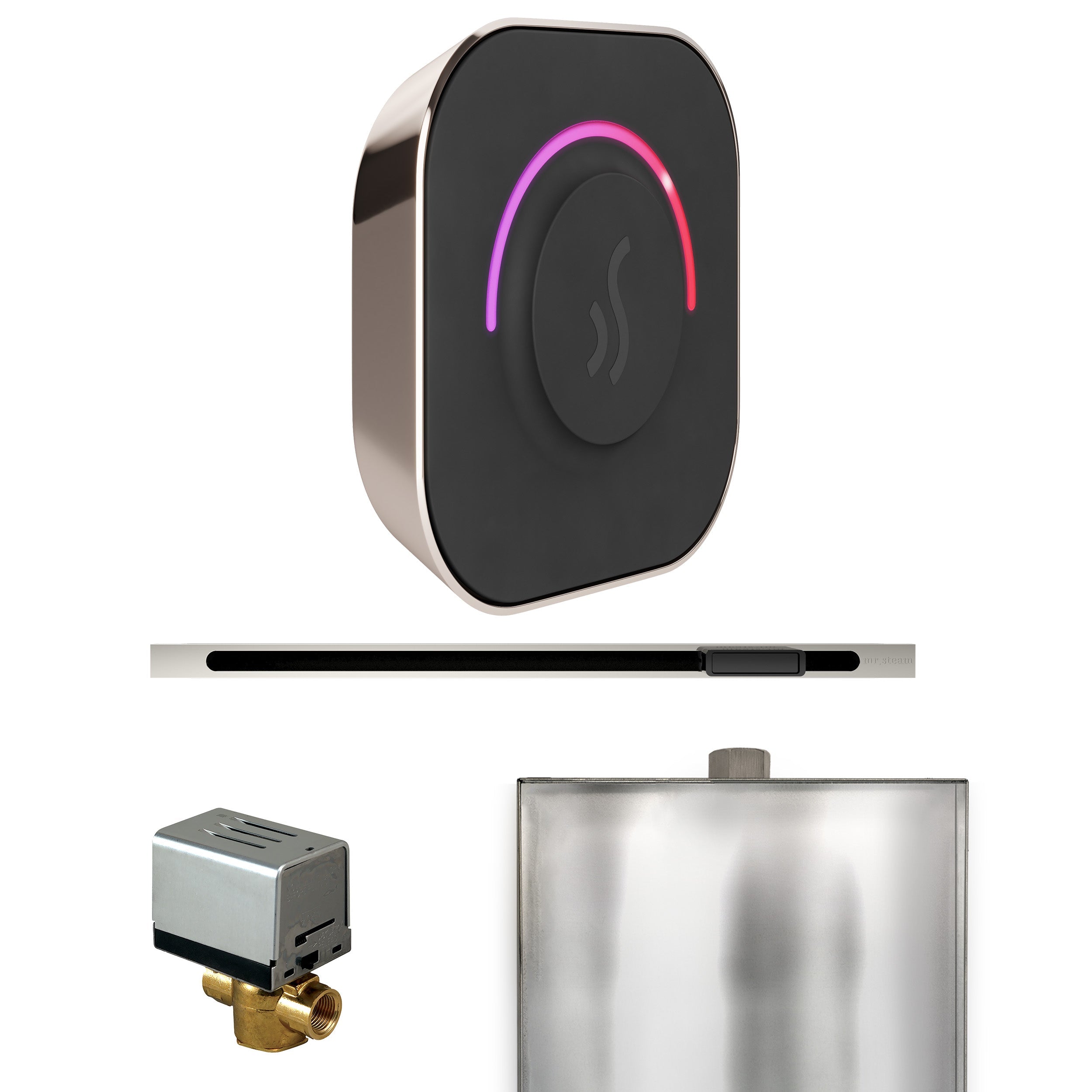Mr. Steam ButlerTouch Steam Shower Control Package with TempoTouch Control and Linear Steamhead Mr. Steam