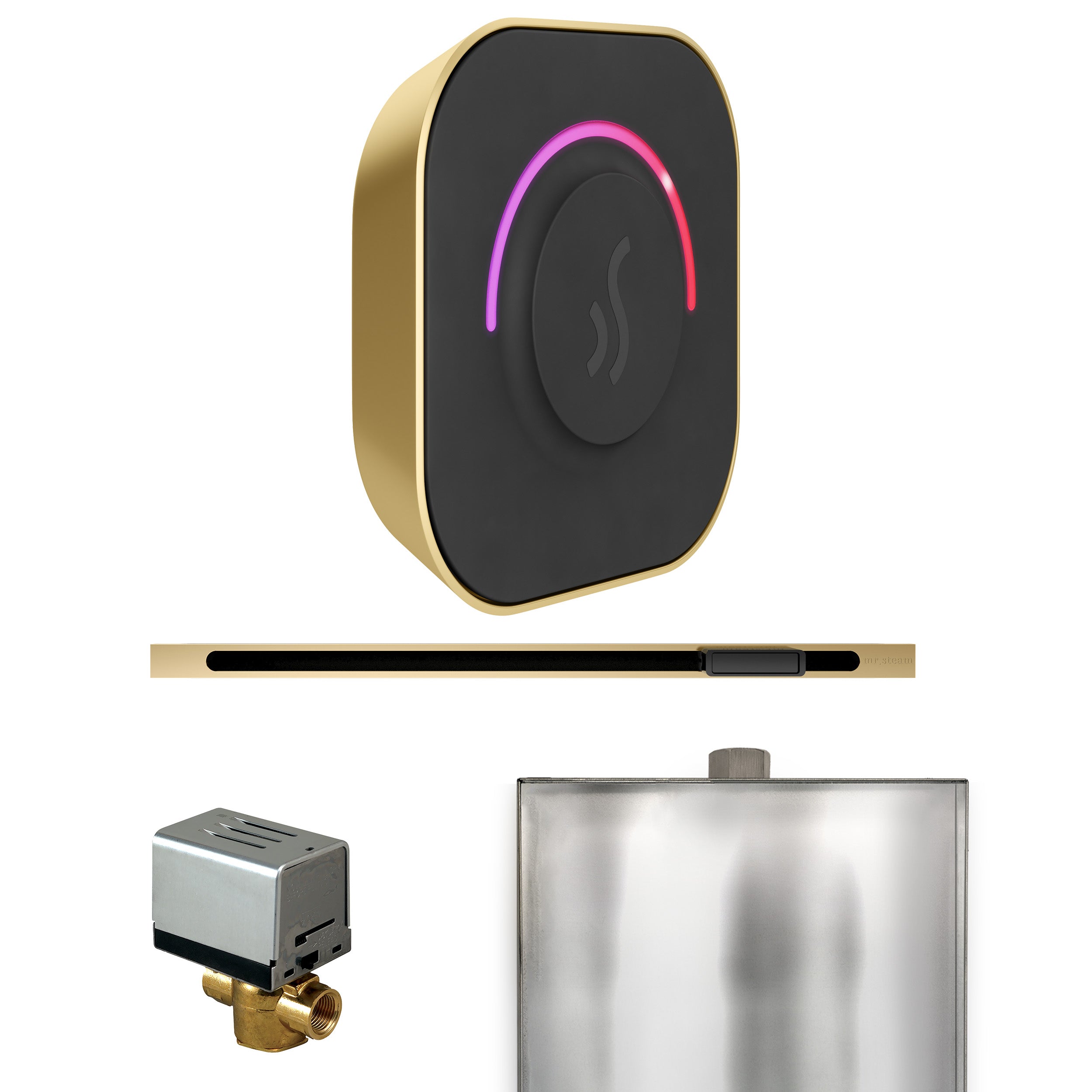 Mr. Steam ButlerTouch Steam Shower Control Package with TempoTouch Control and Linear Steamhead Mr. Steam