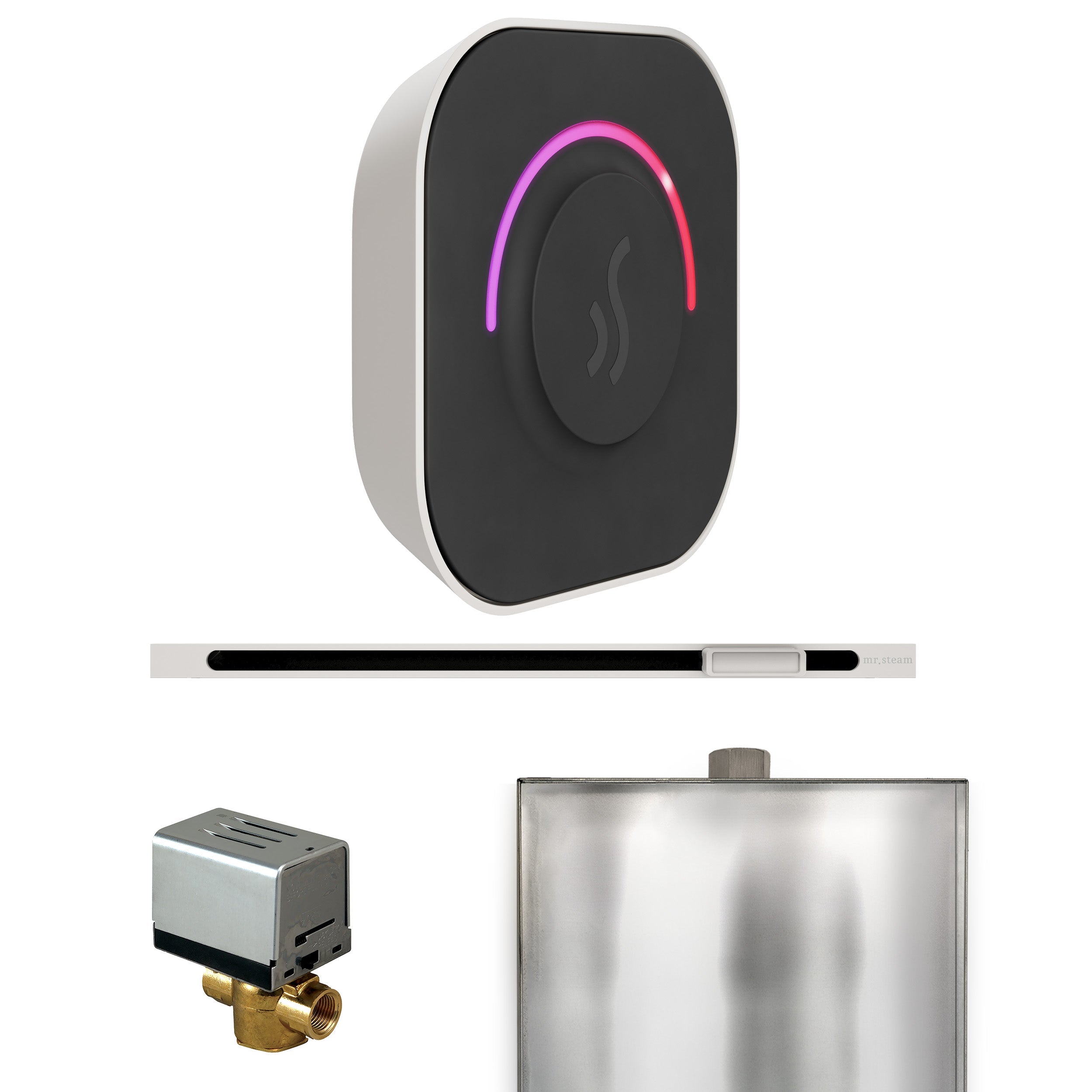 Mr. Steam ButlerTouch Steam Shower Control Package with TempoTouch Control and Linear Steamhead Mr. Steam