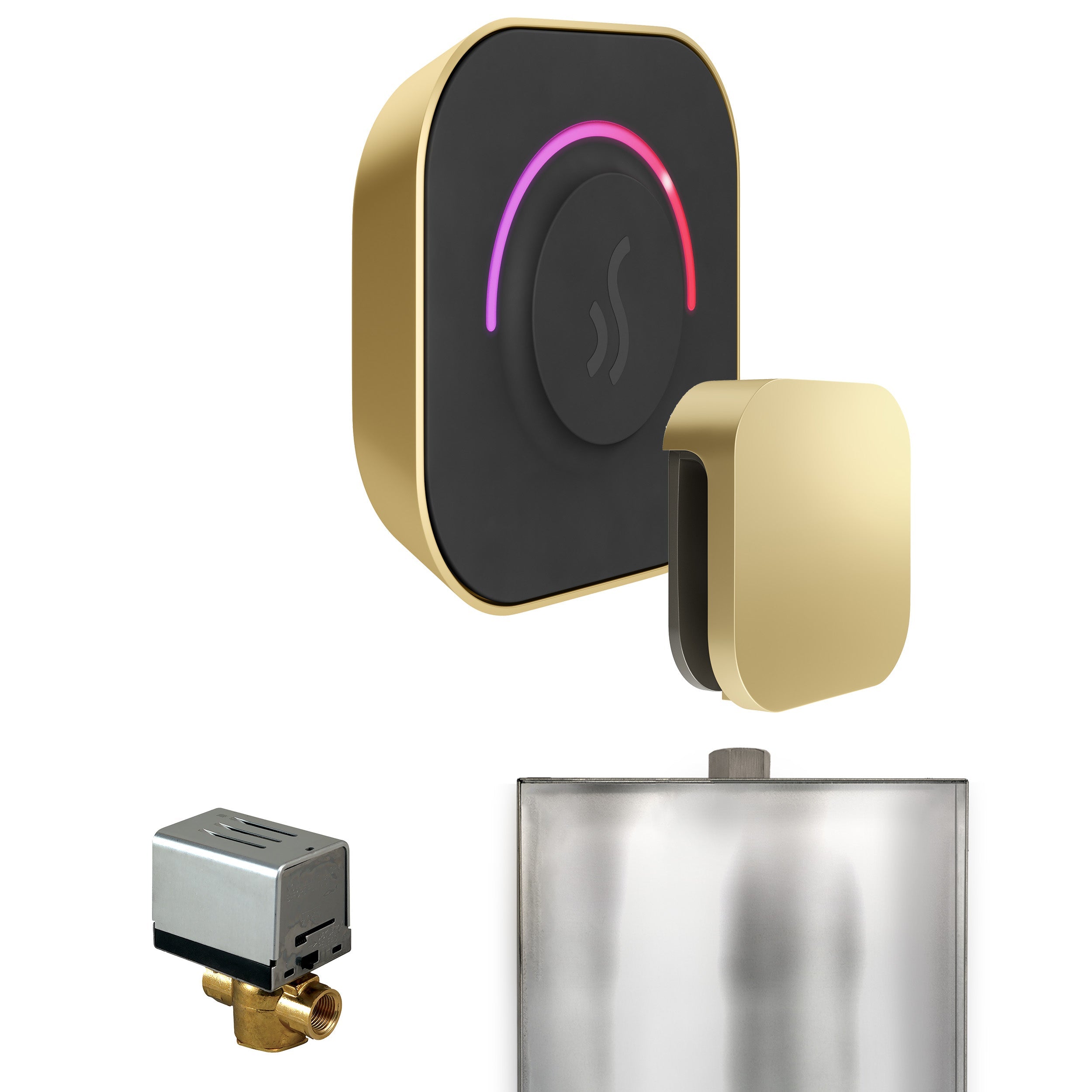 Mr. Steam ButlerTouch Steam Shower Control Package with TempoTouch Control and Steamhead Mr. Steam