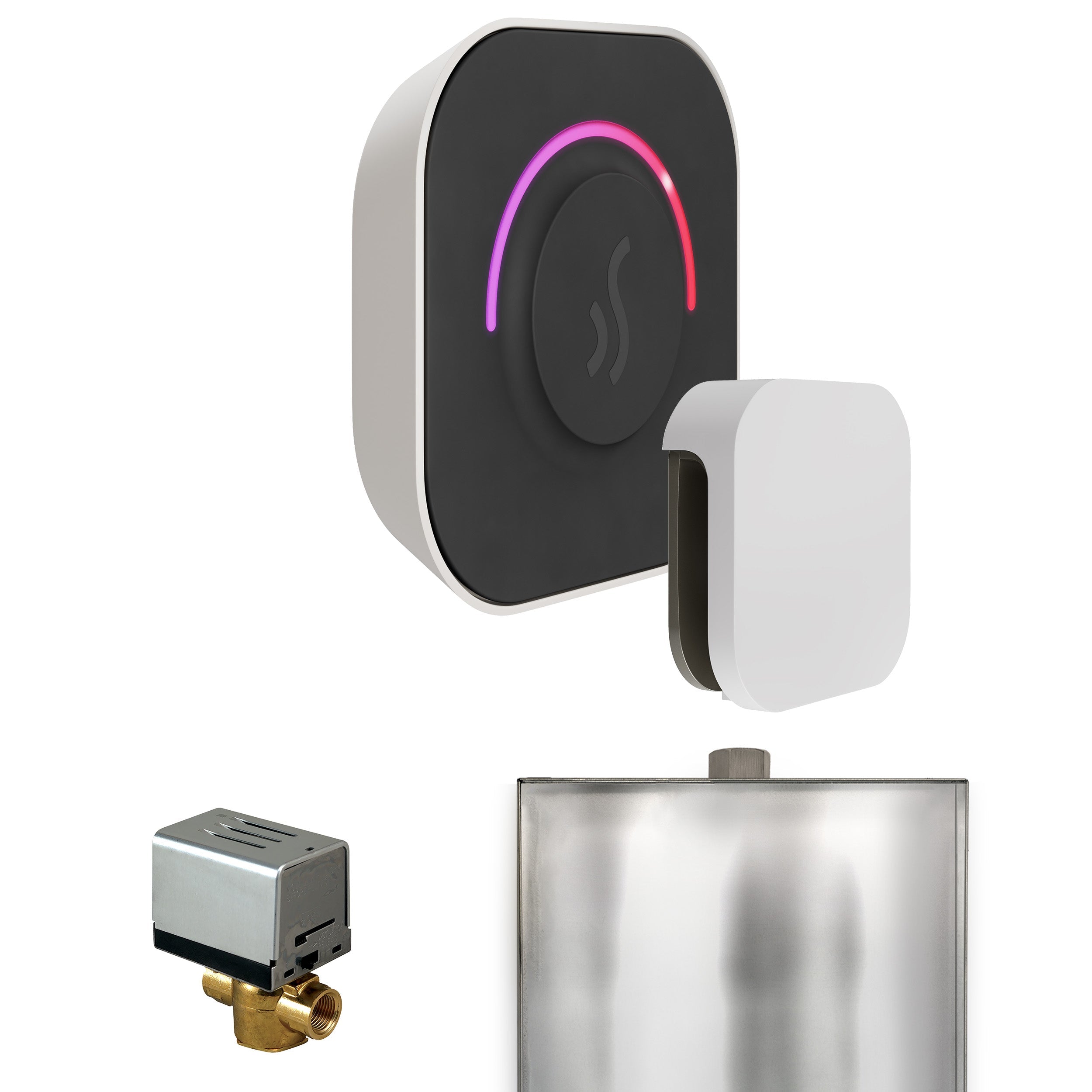 Mr. Steam ButlerTouch Steam Shower Control Package with TempoTouch Control and Steamhead Mr. Steam