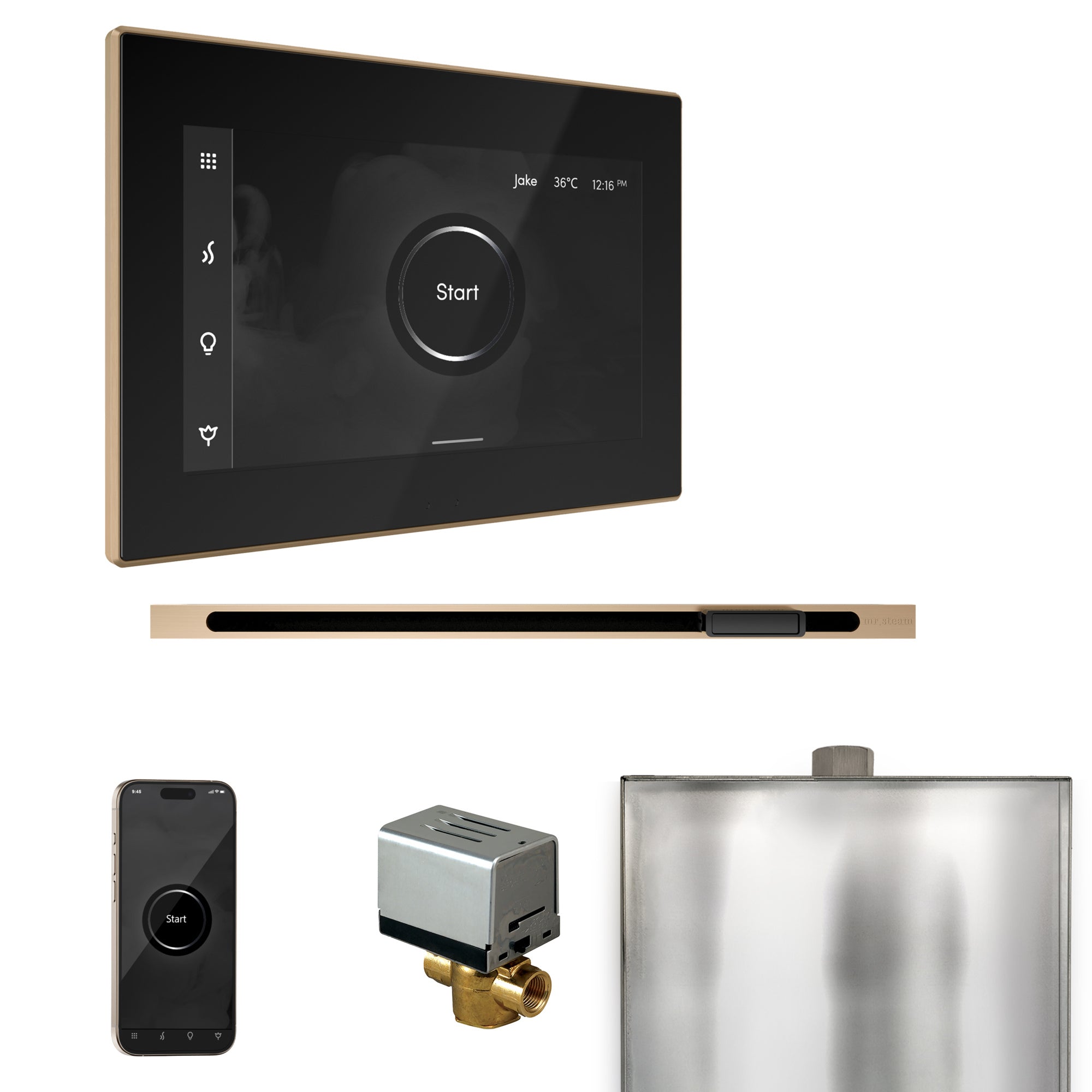 Mr. Steam XButler Steam Shower Control Package with iSteamX Control and ...