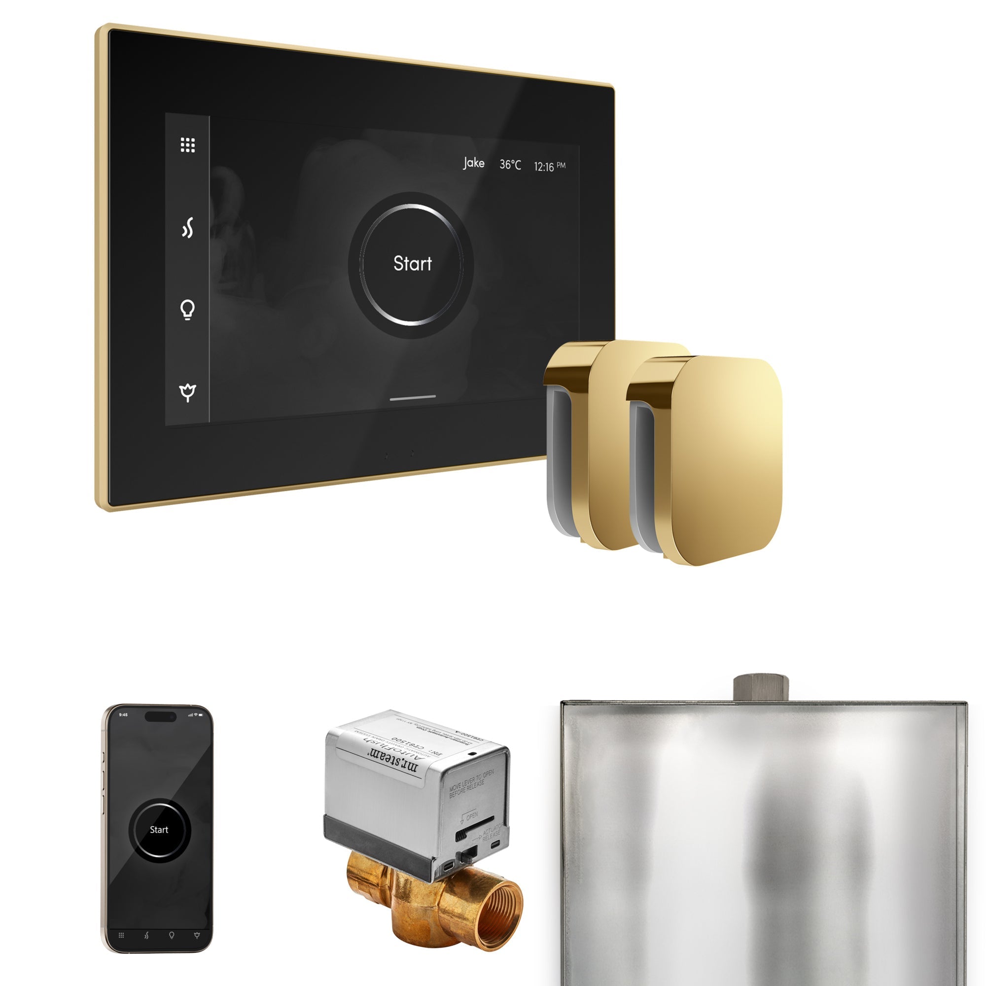 Mr. Steam XButler Max Steam Shower Control Package with iSteamX Control and Steamhead Mr. Steam