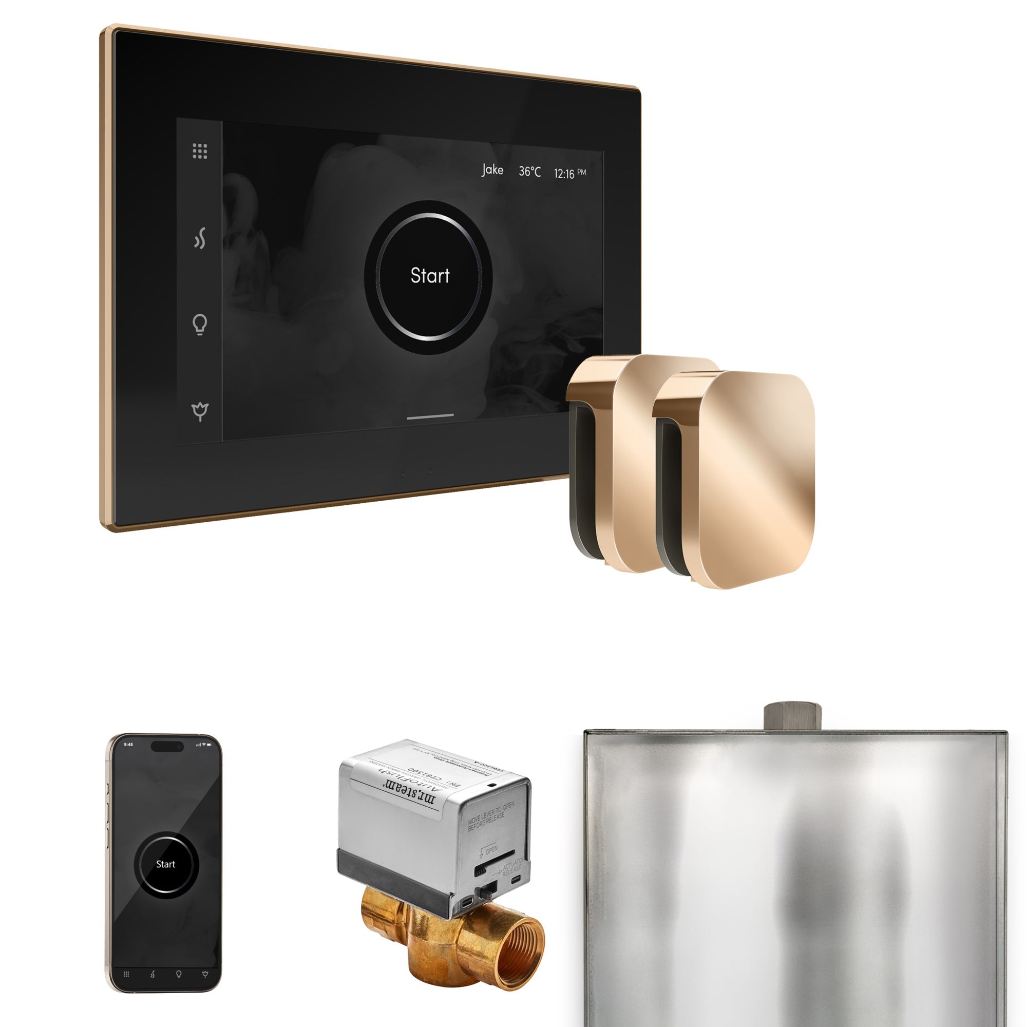 Mr. Steam XButler Max Steam Shower Control Package with iSteamX Control and Steamhead Mr. Steam