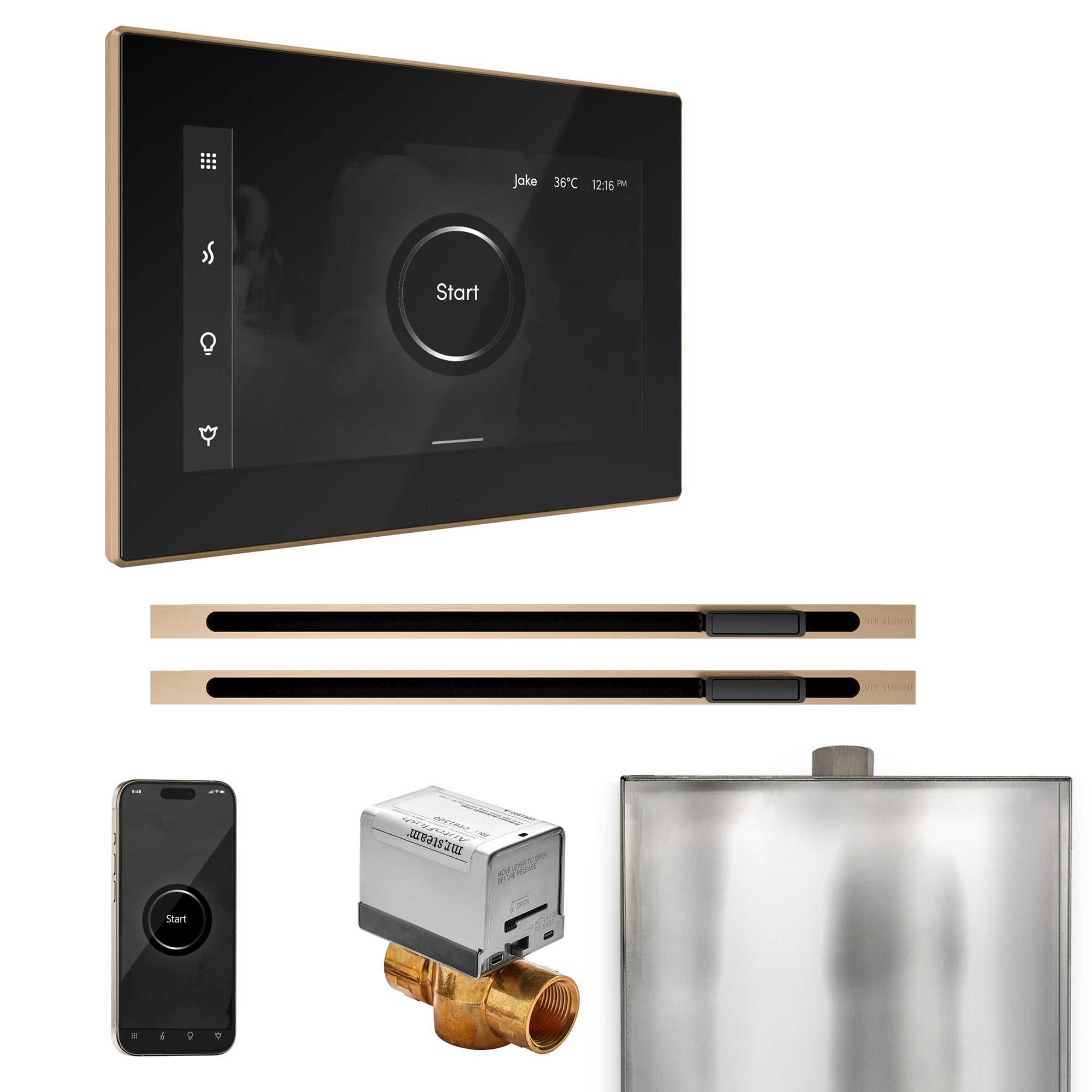 Mr. Steam XButler Max Steam Shower Control Package with iSteamX Control ...