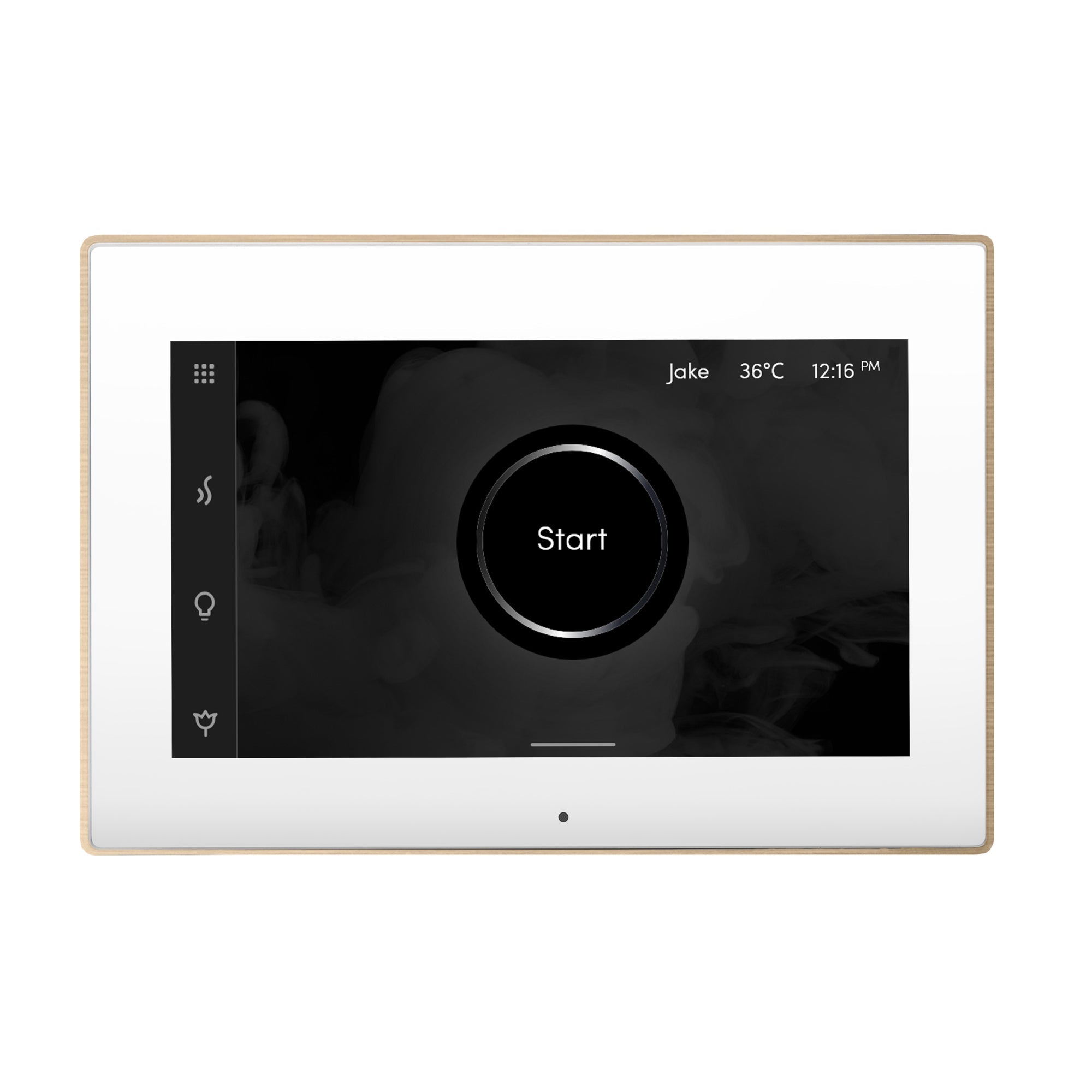 Mr. Steam ISX iSteamX Steam Shower Control and Steamhead Mr. Steam