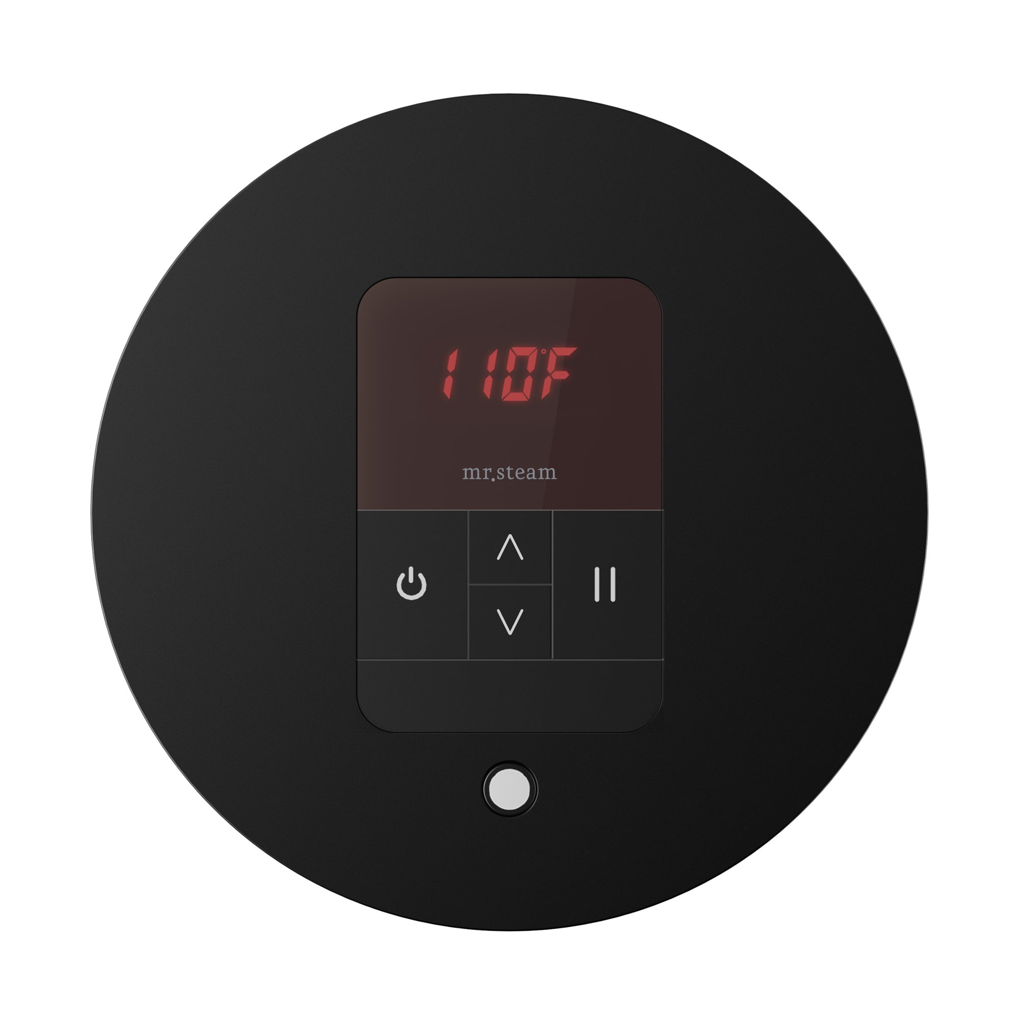 Mr. Steam iTempo Steam Shower Control and Steamhead Mr. Steam