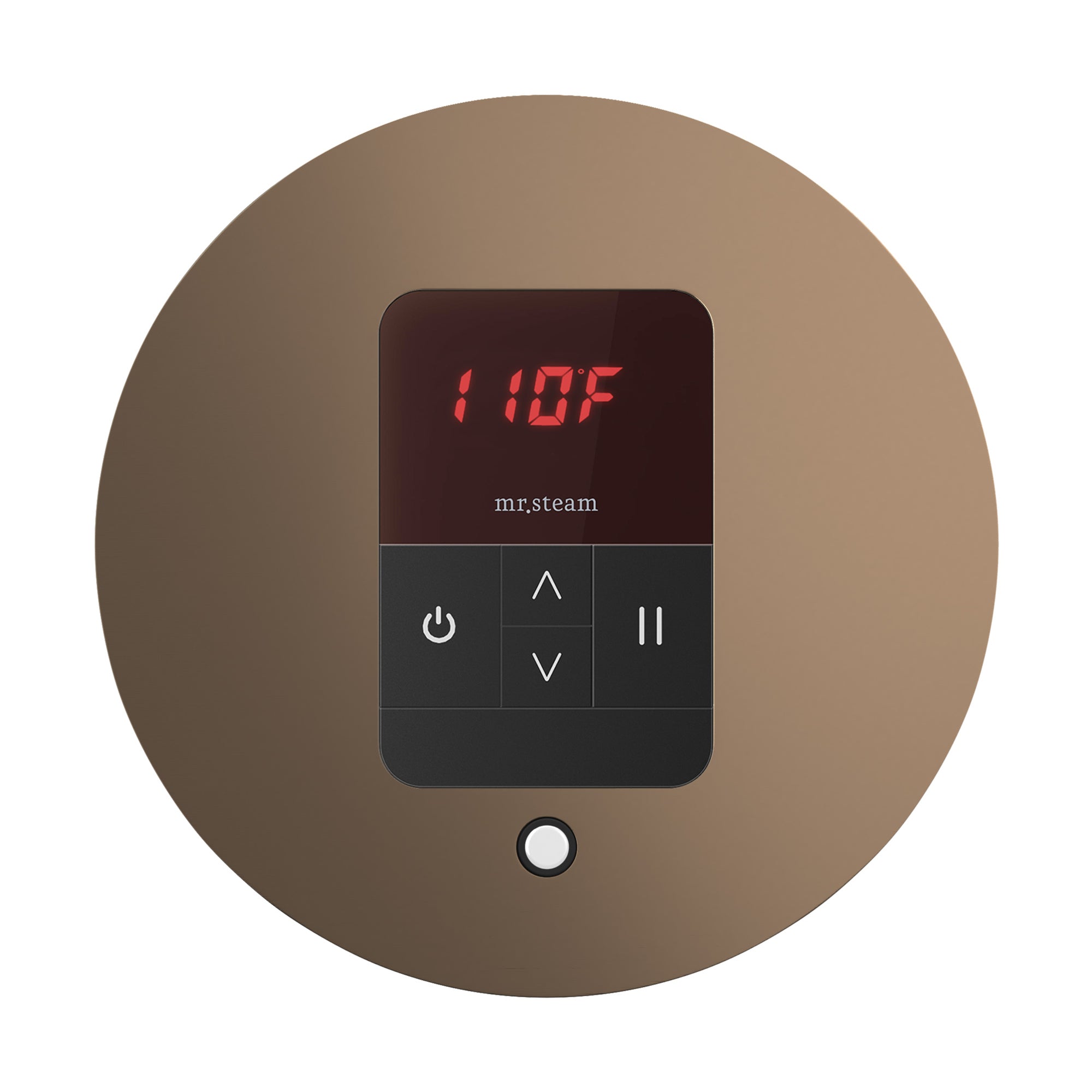 Mr. Steam iTempo Steam Shower Control and Steamhead Mr. Steam