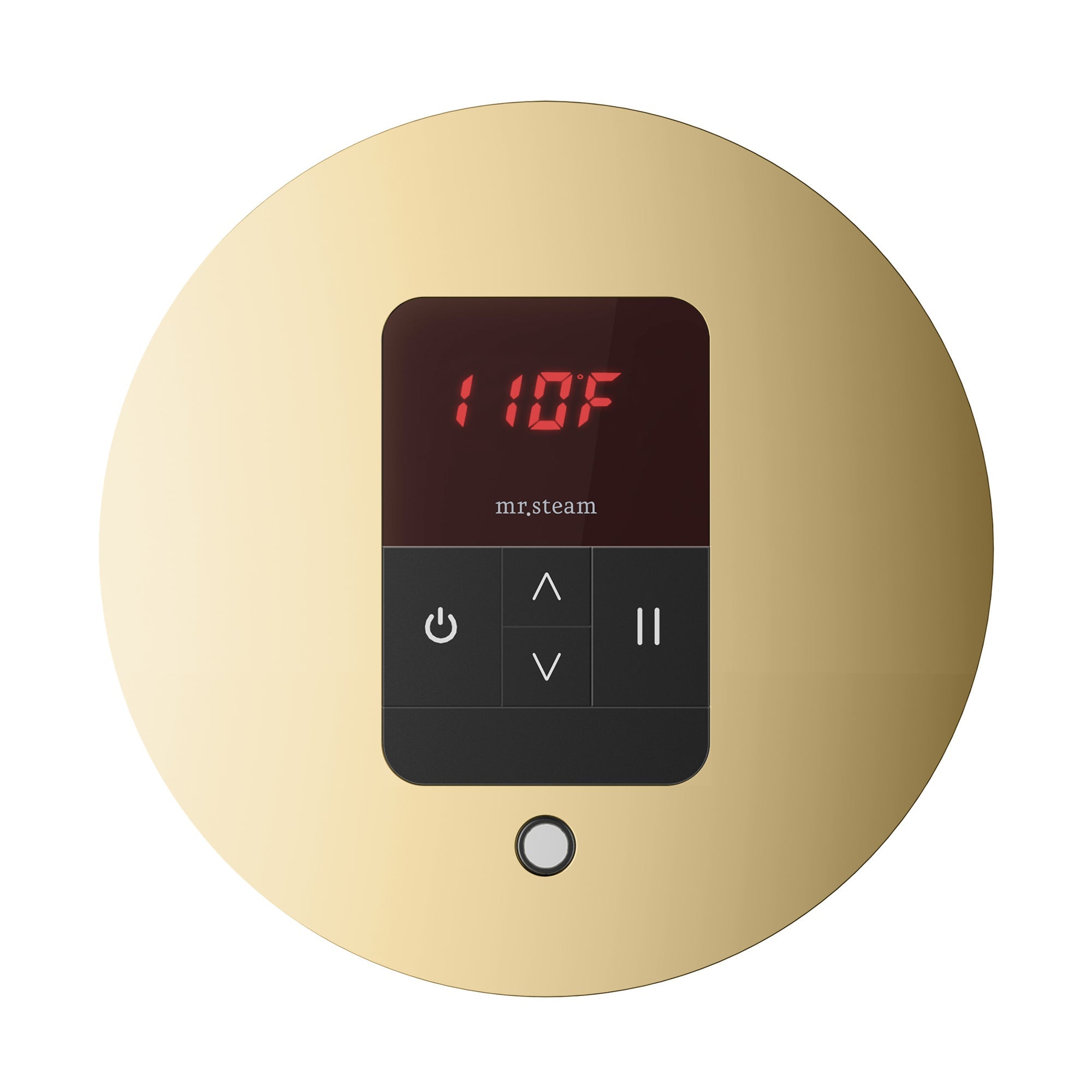 Mr. Steam iTempo Steam Shower Control and Steamhead Mr. Steam