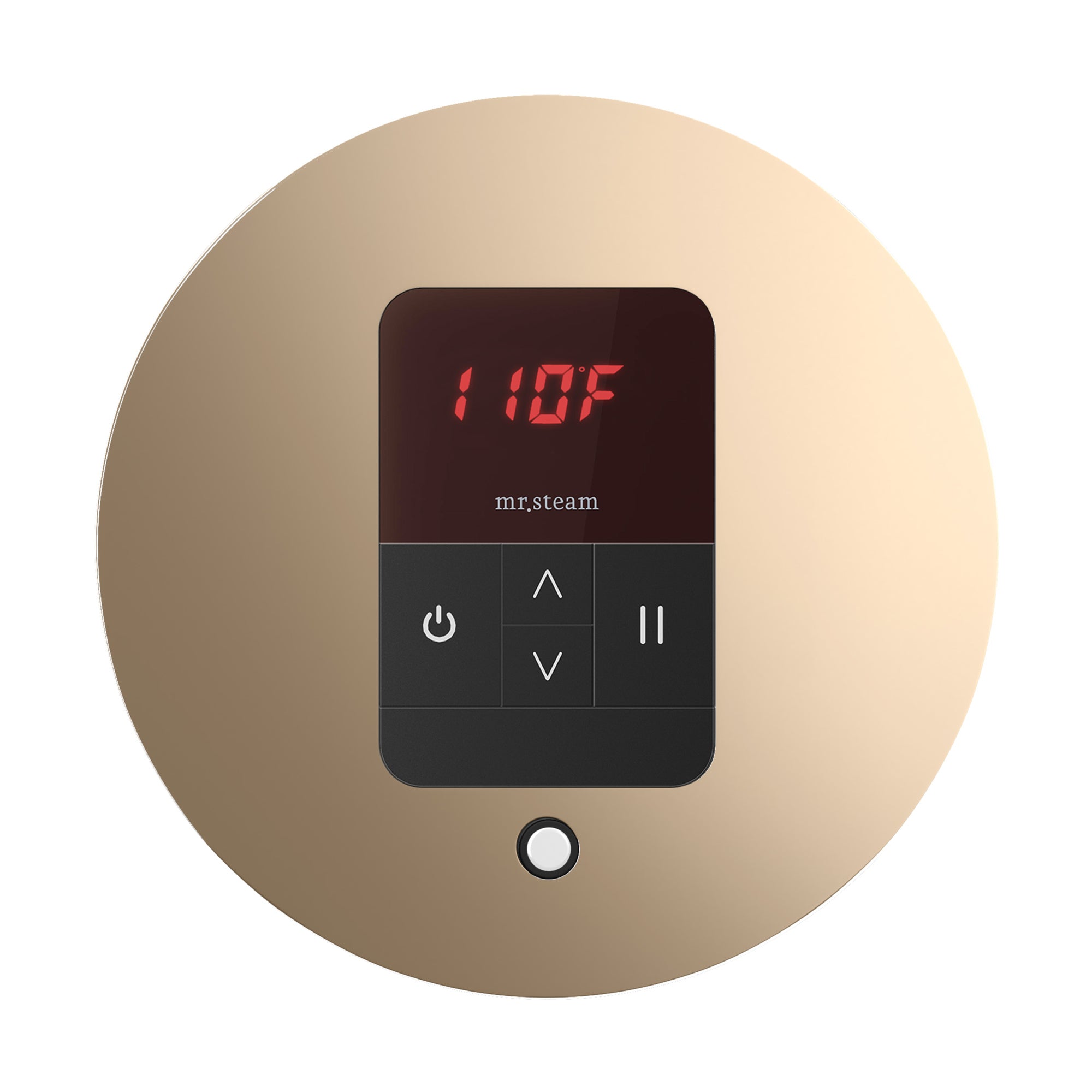 Mr. Steam iTempo Steam Shower Control and Steamhead Mr. Steam