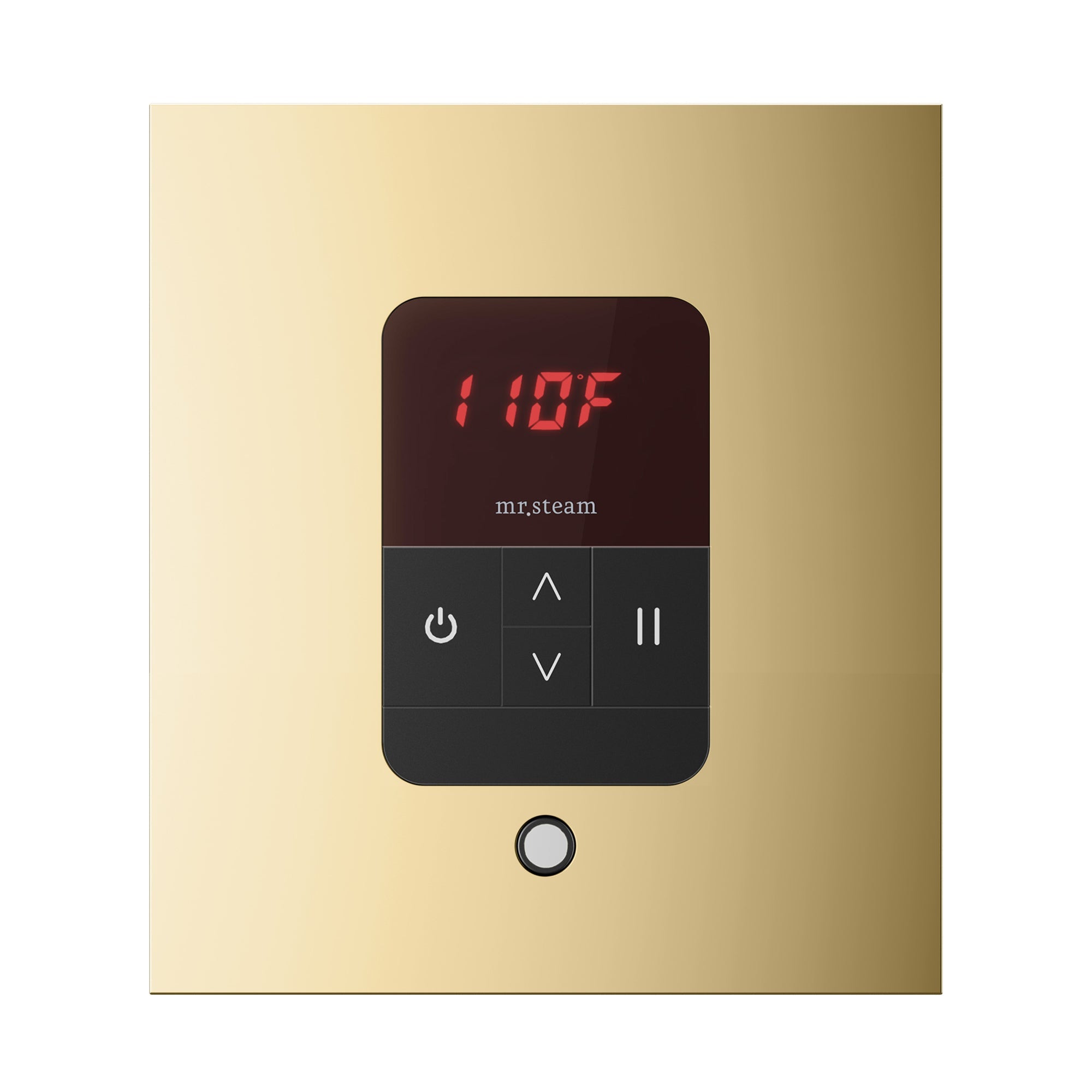 Mr. Steam iTempo Steam Shower Control and Steamhead Mr. Steam