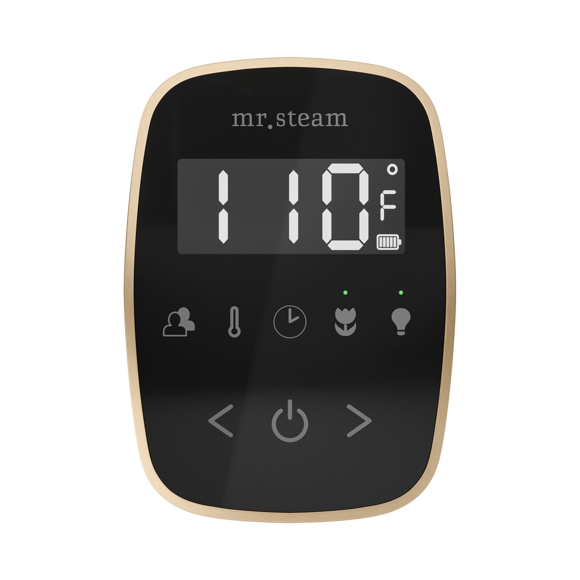 Mr. Steam TempoFlex Steam Shower Control and Steamhead Mr. Steam