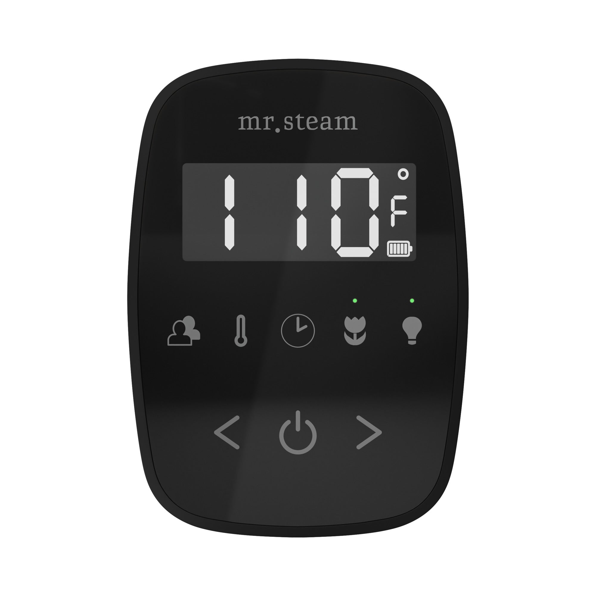 Mr. Steam TempoFlex Steam Shower Control and Steamhead Mr. Steam