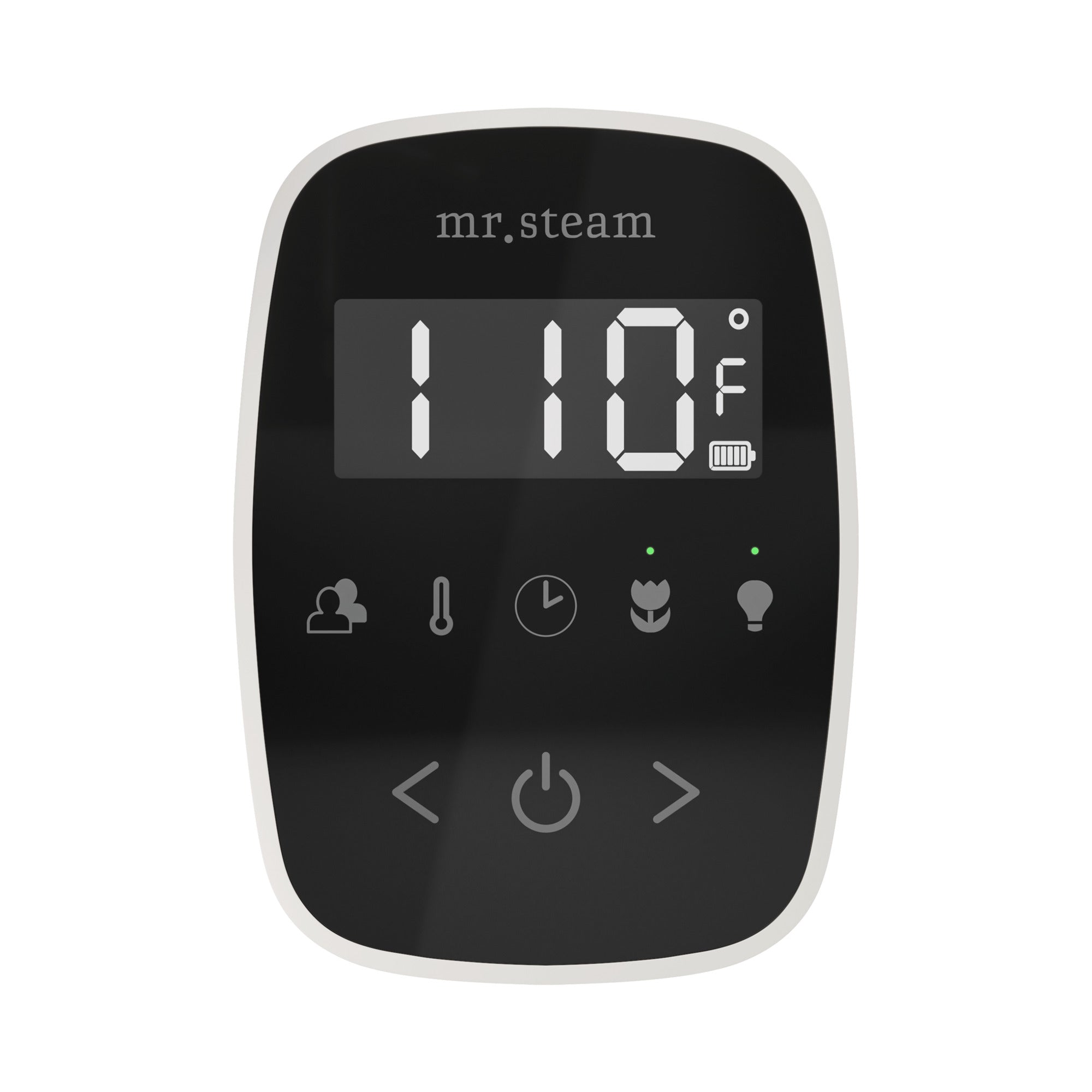 Mr. Steam TempoFlex Steam Shower Control and Steamhead Mr. Steam