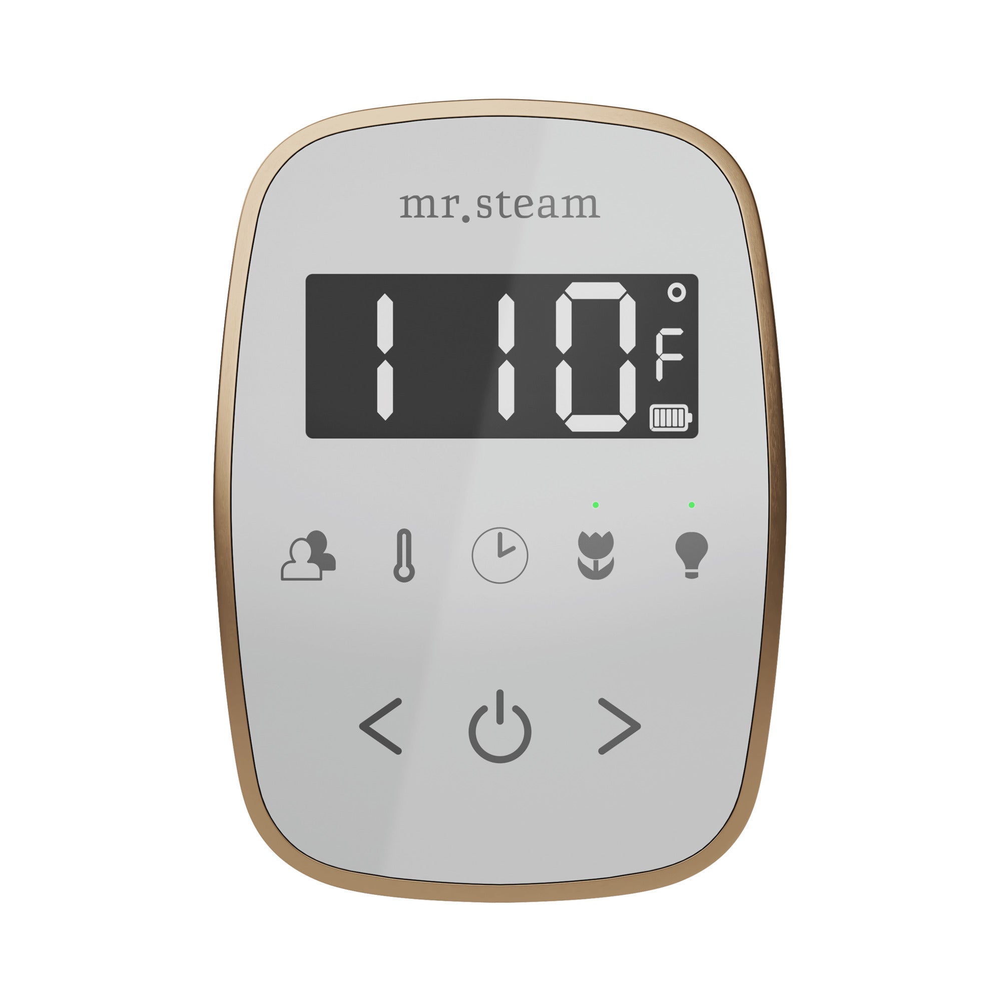 Mr. Steam TempoFlex Steam Shower Control and Steamhead Mr. Steam