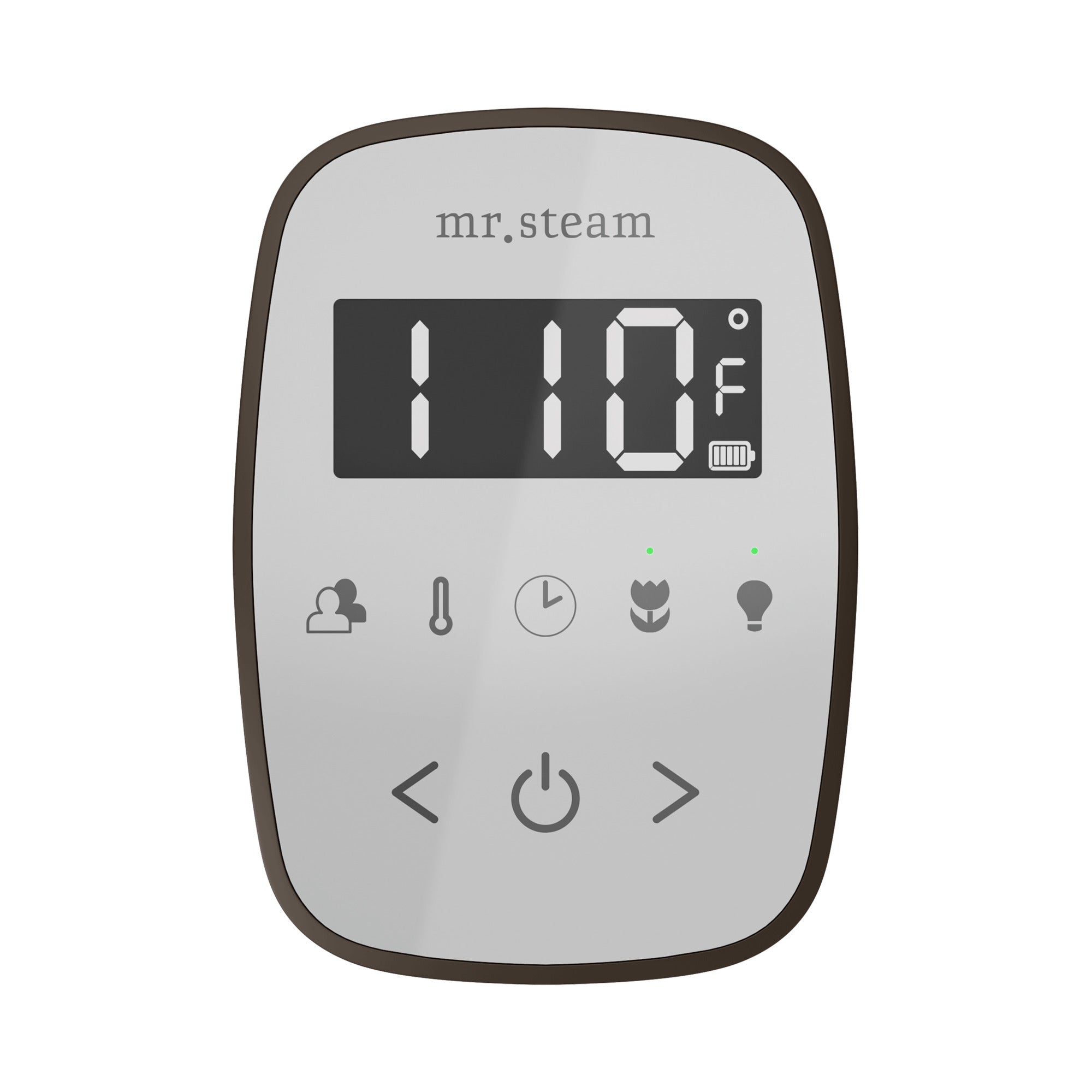 Mr. Steam TempoFlex Steam Shower Control and Steamhead Mr. Steam