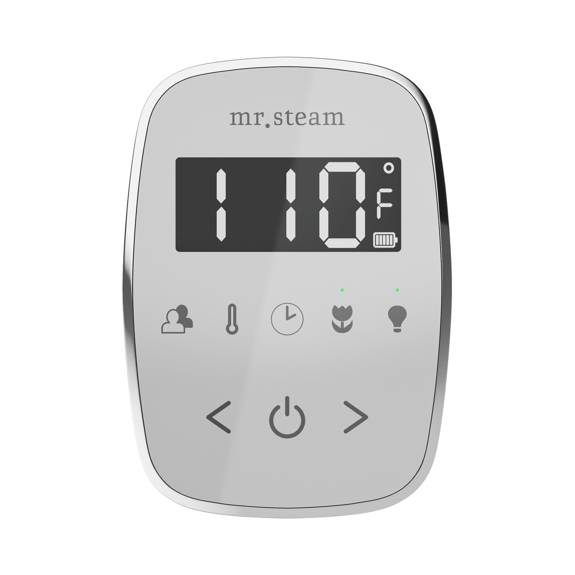 Mr. Steam TempoFlex Steam Shower Control and Steamhead Mr. Steam