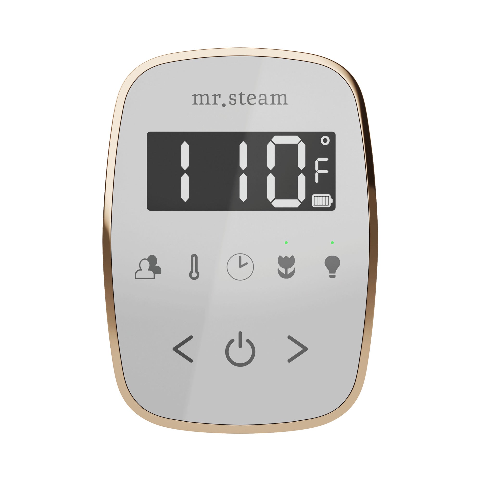 Mr. Steam TempoFlex Steam Shower Control and Steamhead Mr. Steam