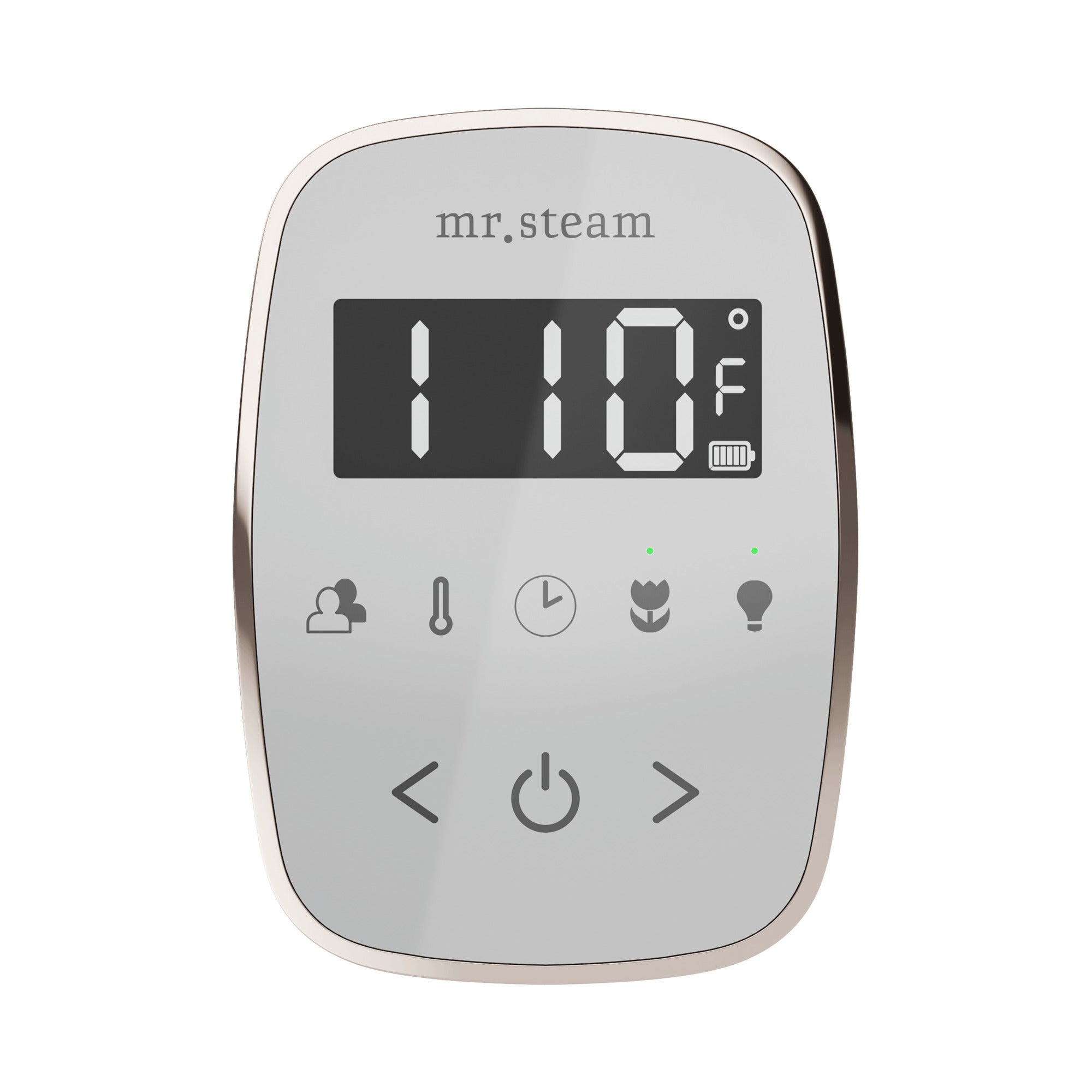 Mr. Steam TempoFlex Steam Shower Control and Steamhead Mr. Steam