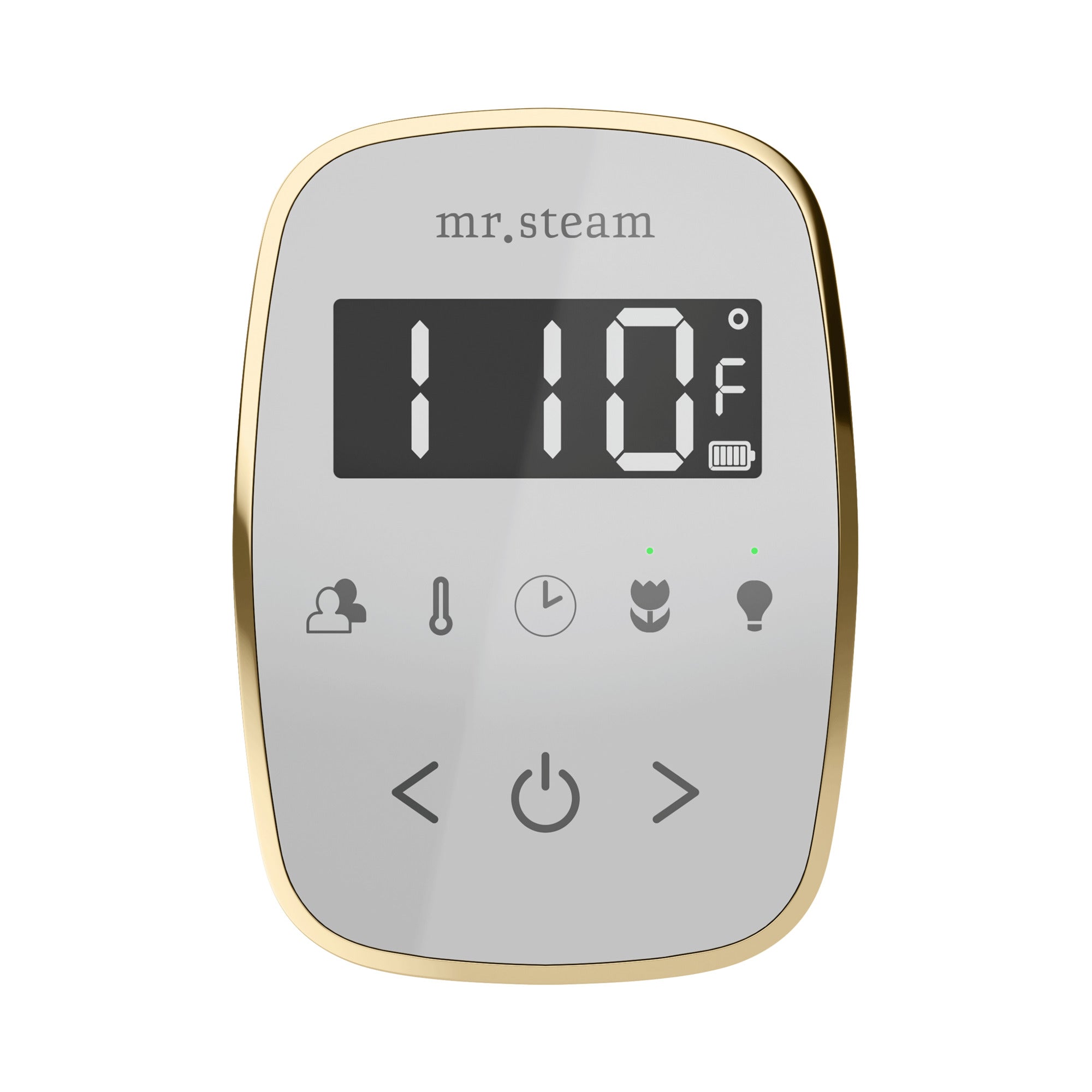 Mr. Steam TempoFlex Steam Shower Control and Steamhead Mr. Steam