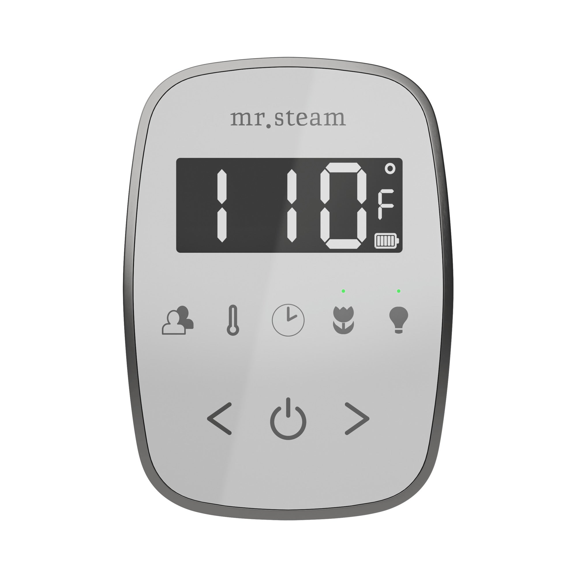 Mr. Steam TempoFlex Steam Shower Control and Steamhead Mr. Steam