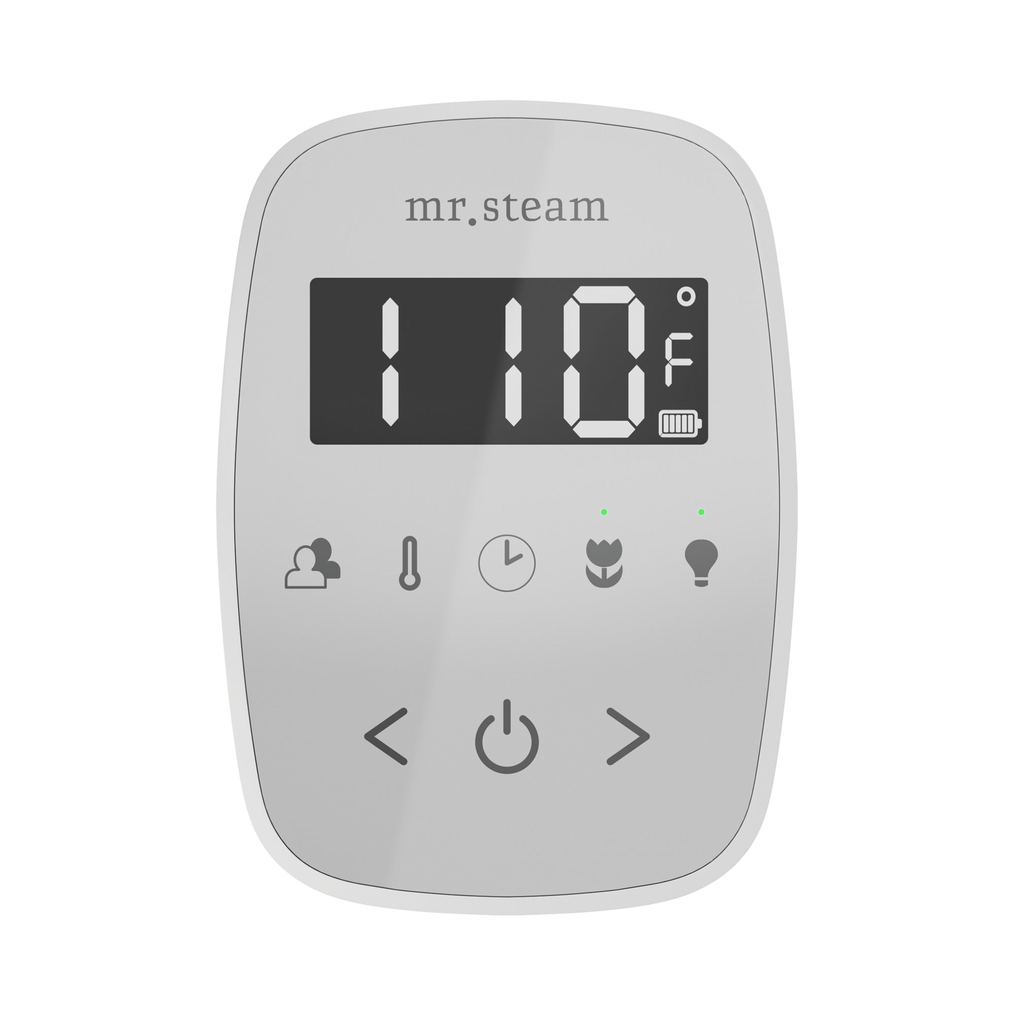 Mr. Steam TempoFlex Steam Shower Control and Steamhead Mr. Steam