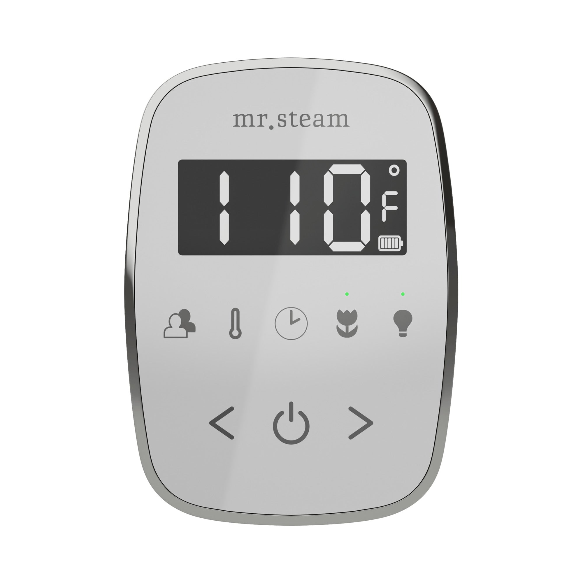 Mr. Steam TempoFlex Steam Shower Control and Steamhead Mr. Steam