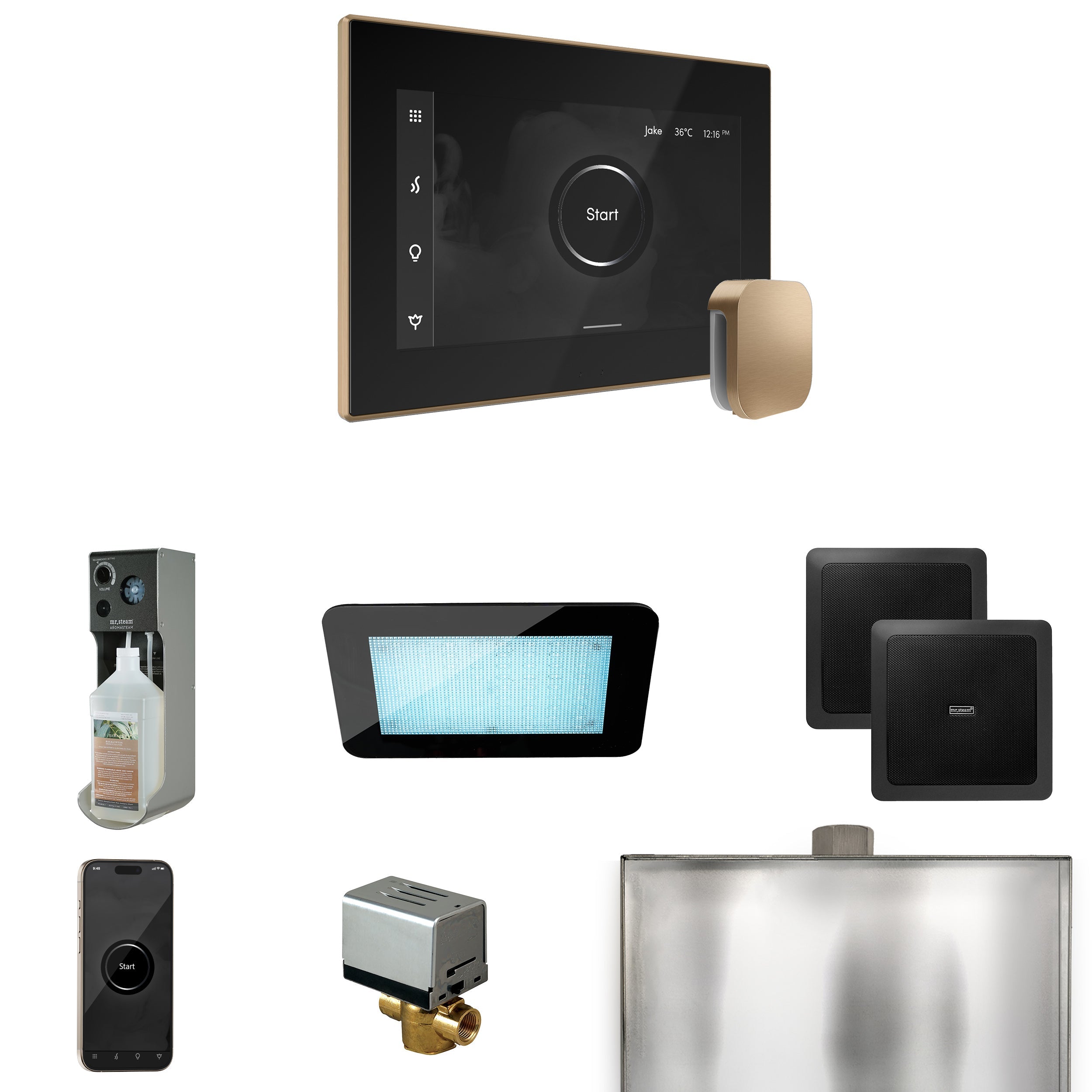 Mr. Steam XDream Steam Shower Control Package with iSteamX Control and Steamhead Mr. Steam