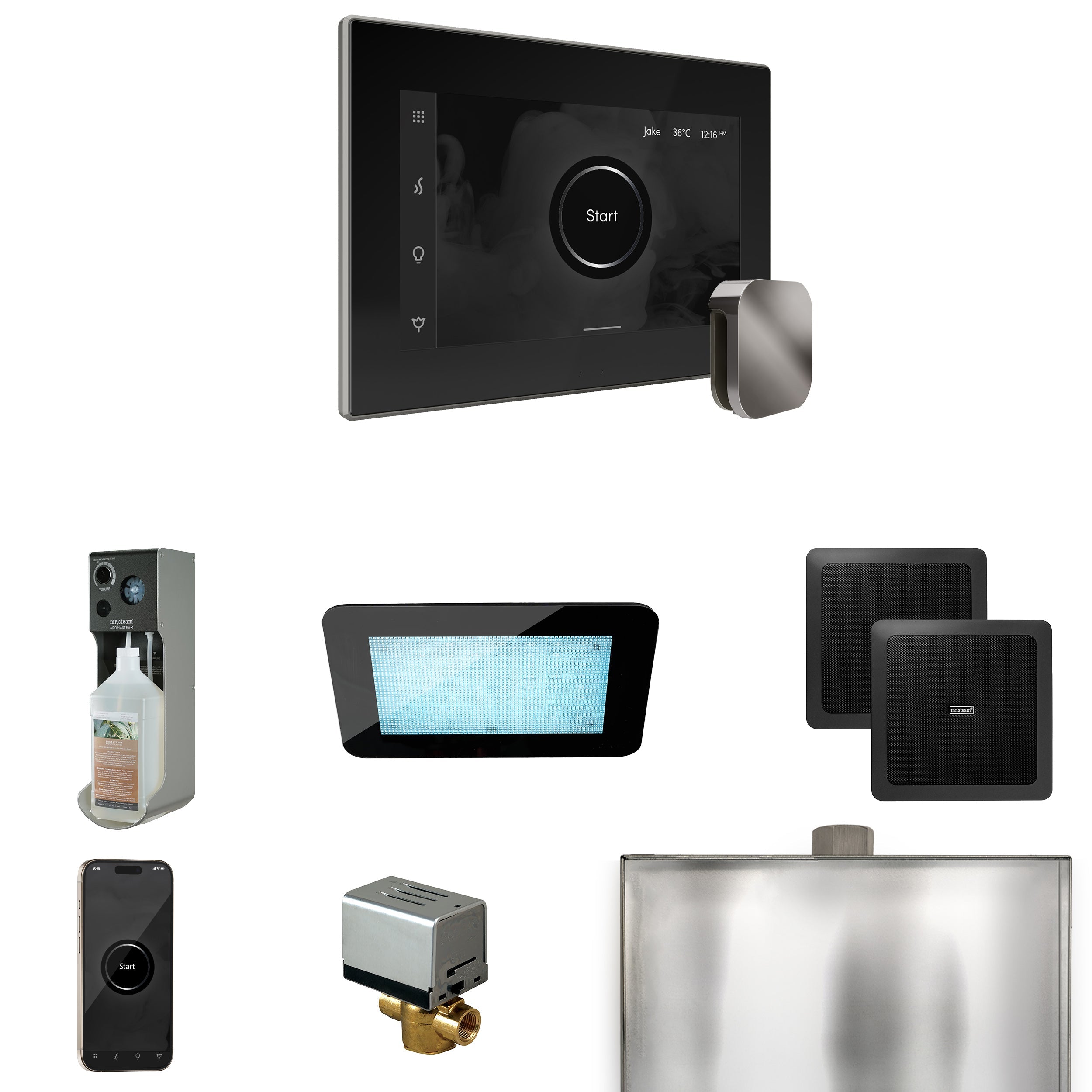 Mr. Steam XDream Steam Shower Control Package with iSteamX Control and Steamhead Mr. Steam