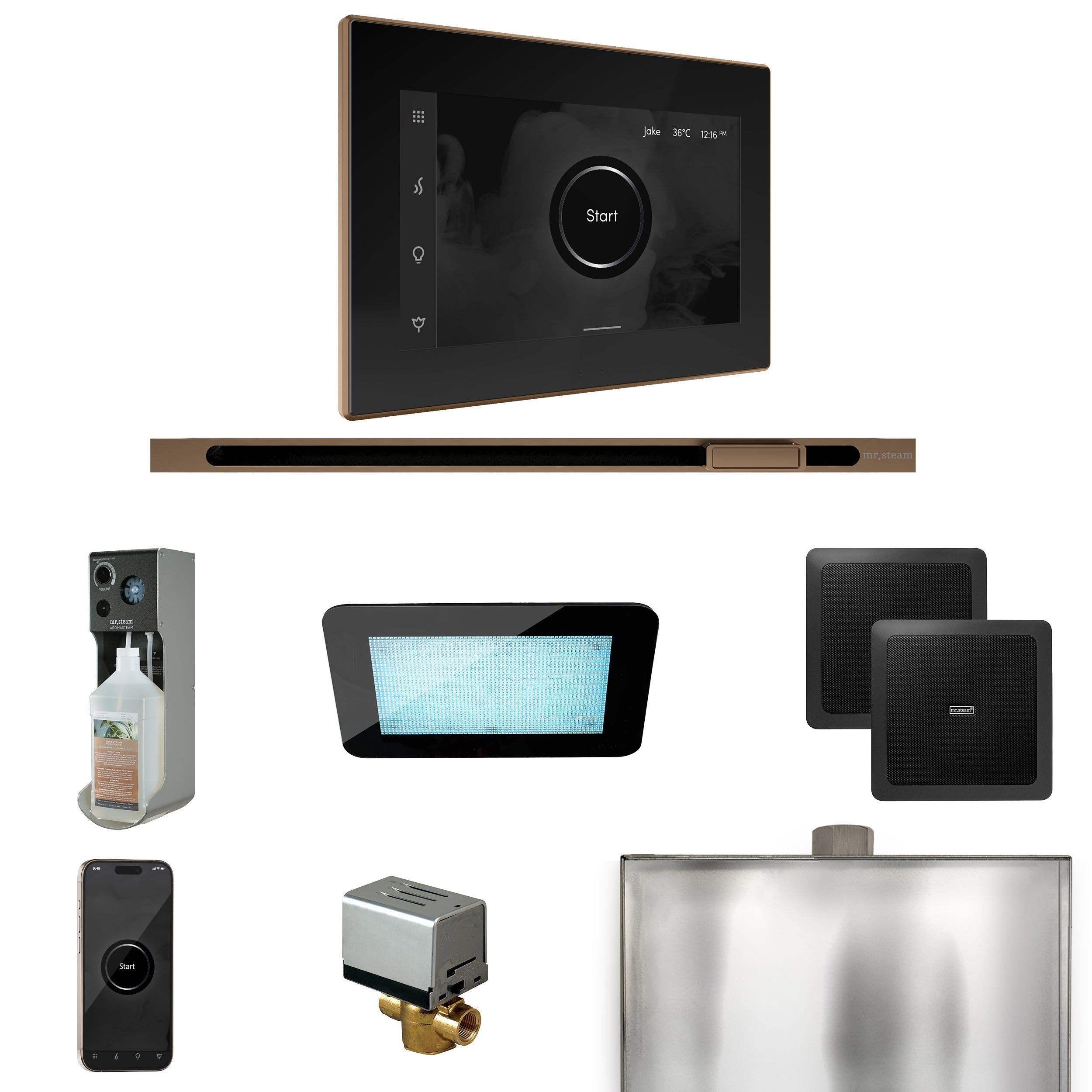 Mr. Steam XDream Steam Shower Control Package with iSteamX Control and Linear Steamhead Mr. Steam