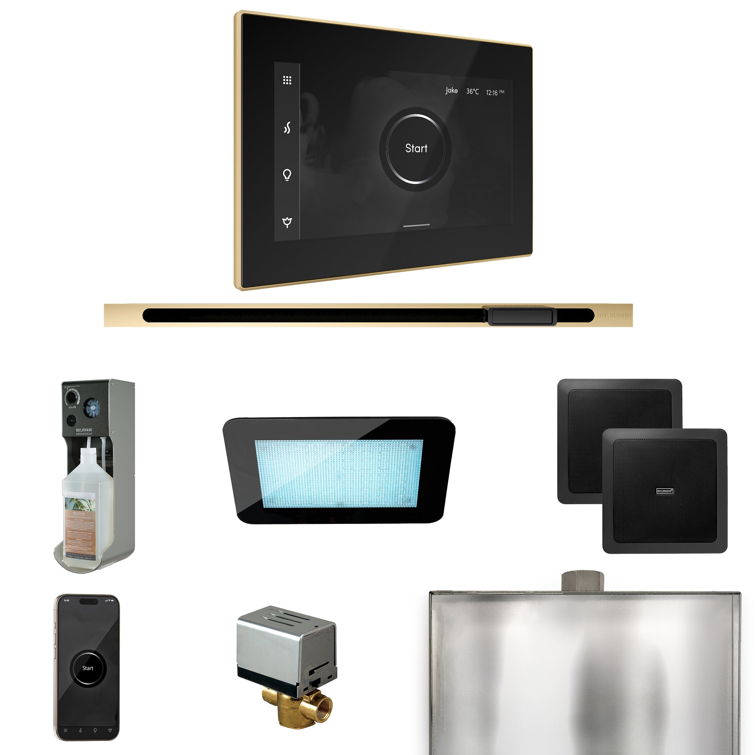 Mr. Steam XDream Steam Shower Control Package with iSteamX Control and Linear Steamhead Mr. Steam