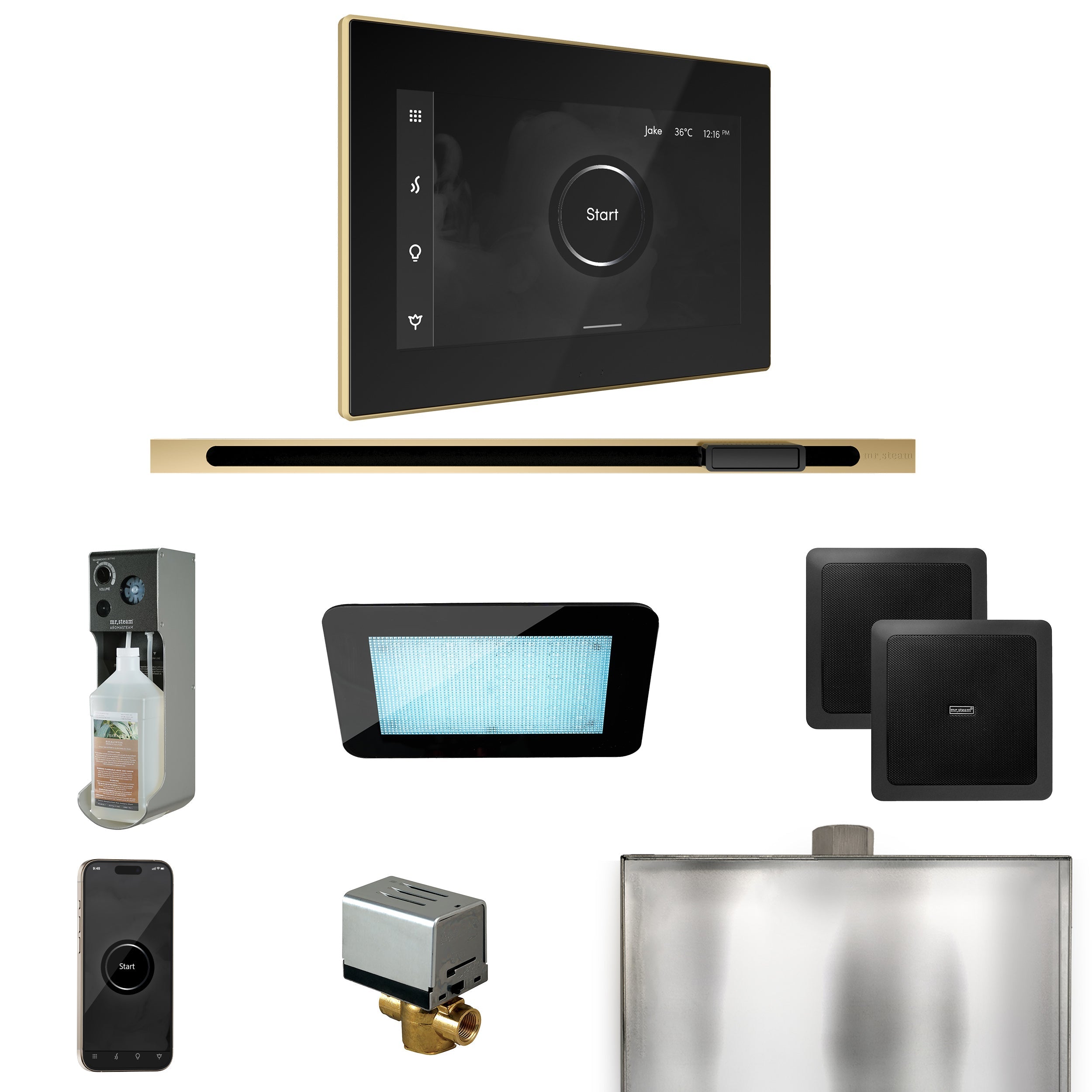 Mr. Steam XDream Steam Shower Control Package with iSteamX Control and Linear Steamhead Mr. Steam