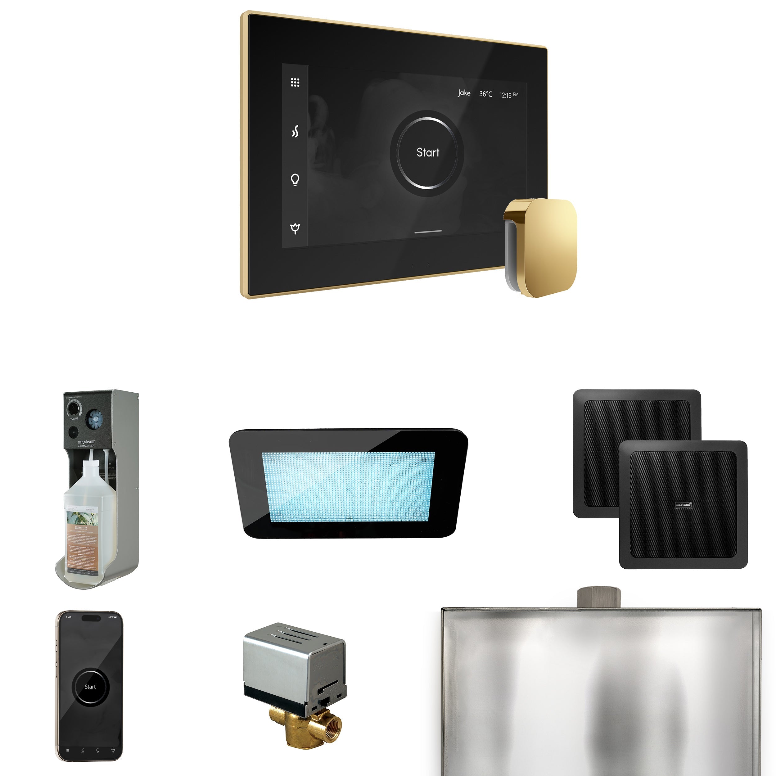 Mr. Steam XDream Steam Shower Control Package with iSteamX Control and Steamhead Mr. Steam