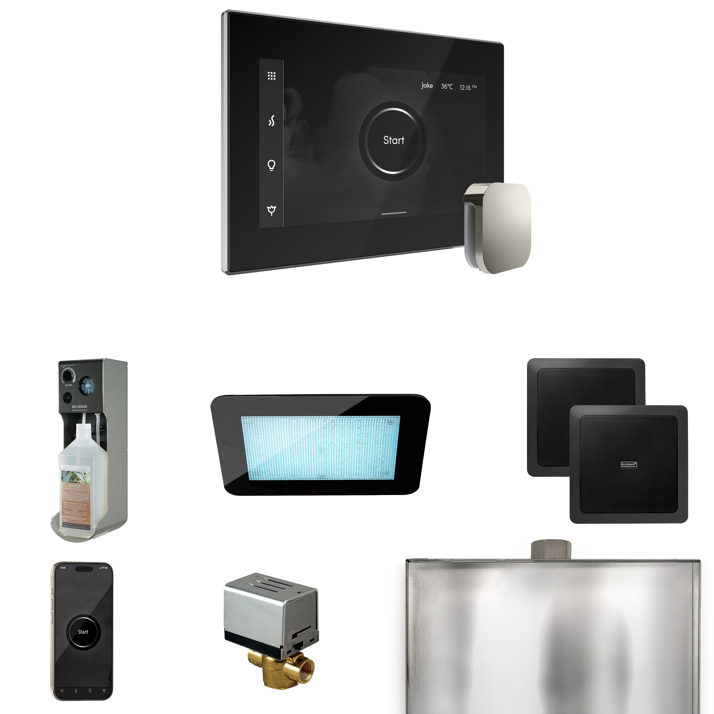 Mr. Steam XDream Steam Shower Control Package with iSteamX Control and Steamhead Mr. Steam