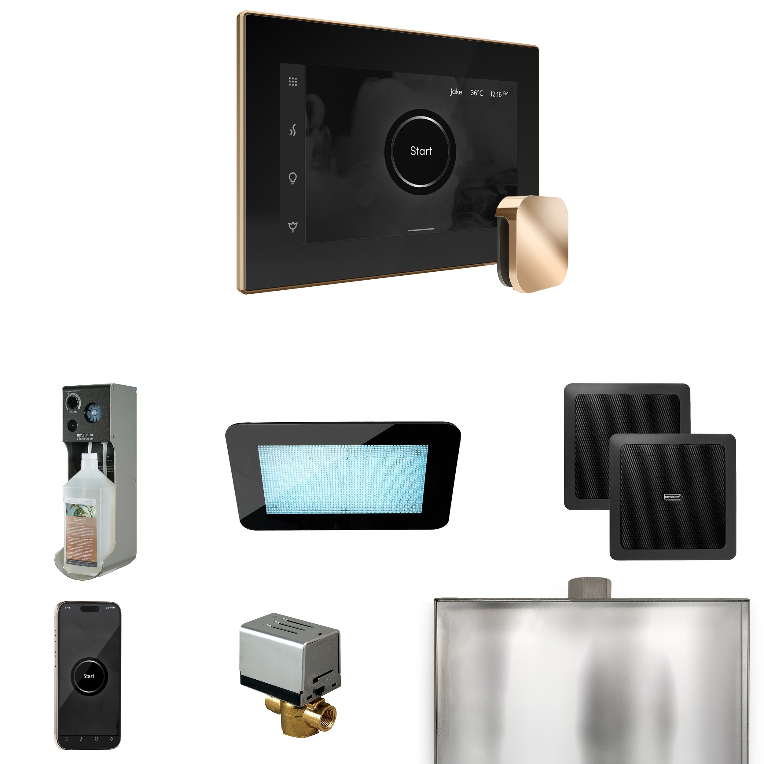 Mr. Steam XDream Steam Shower Control Package with iSteamX Control and Steamhead Mr. Steam