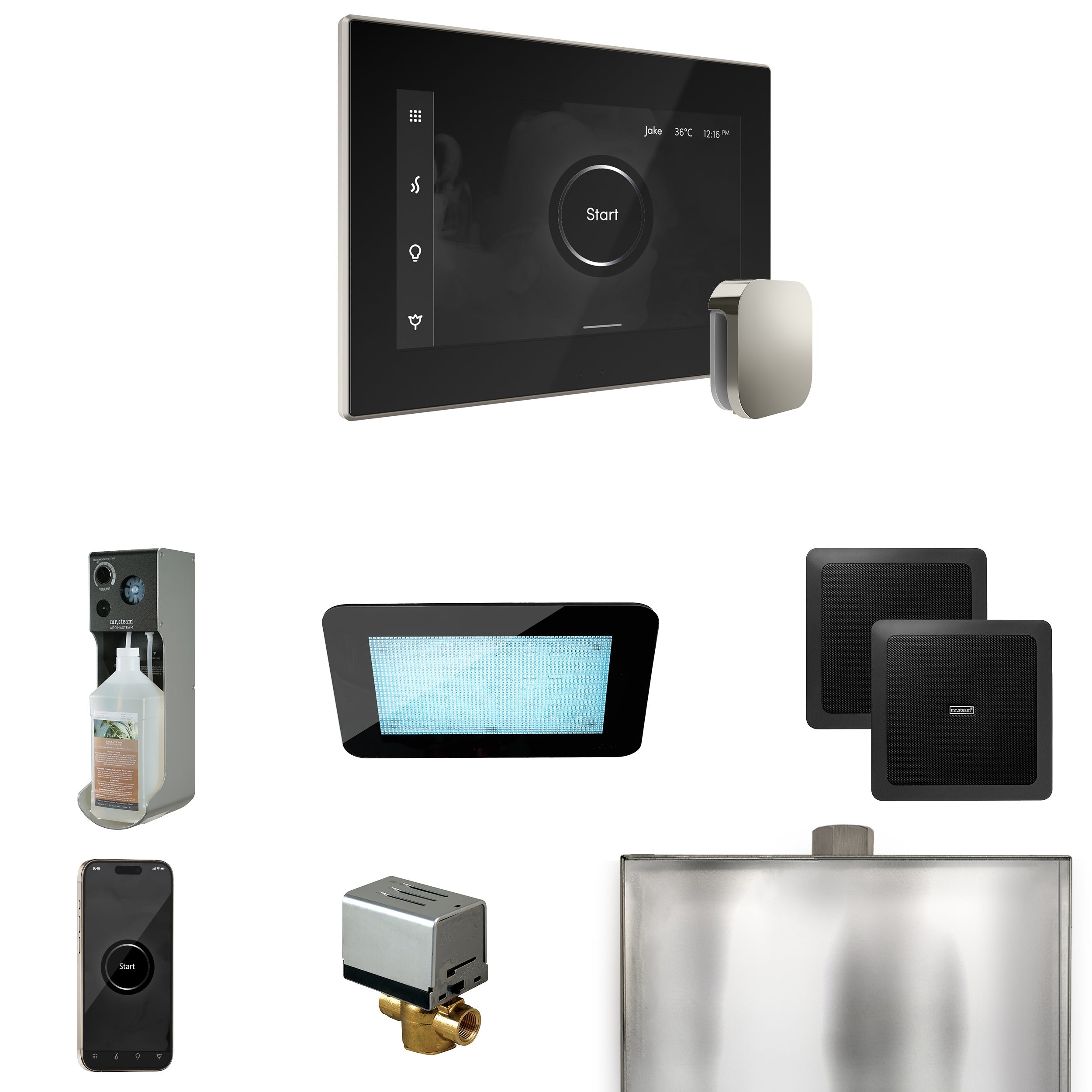 Mr. Steam XDream Steam Shower Control Package with iSteamX Control and Steamhead Mr. Steam