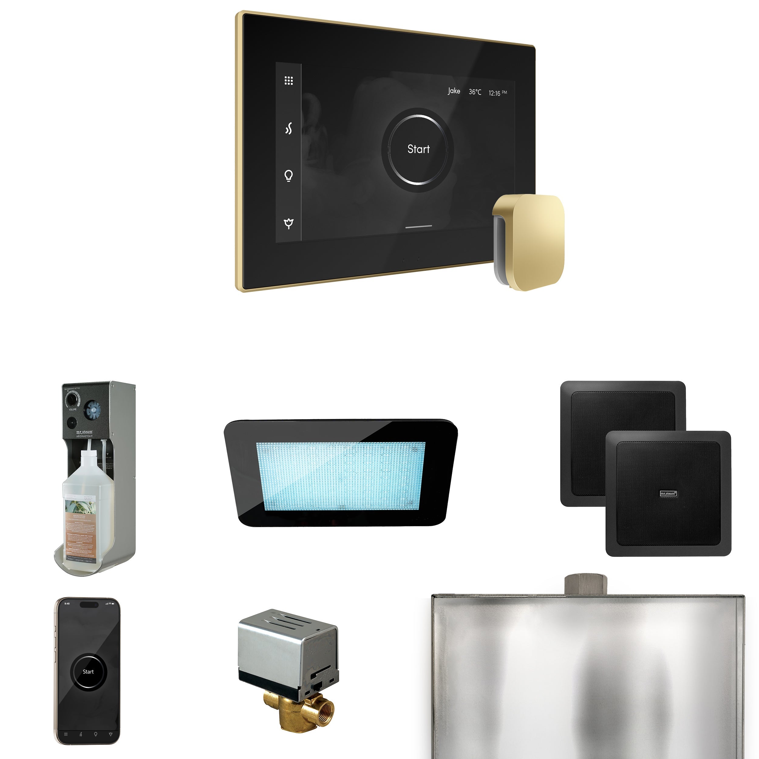 Mr. Steam XDream Steam Shower Control Package with iSteamX Control and Steamhead Mr. Steam