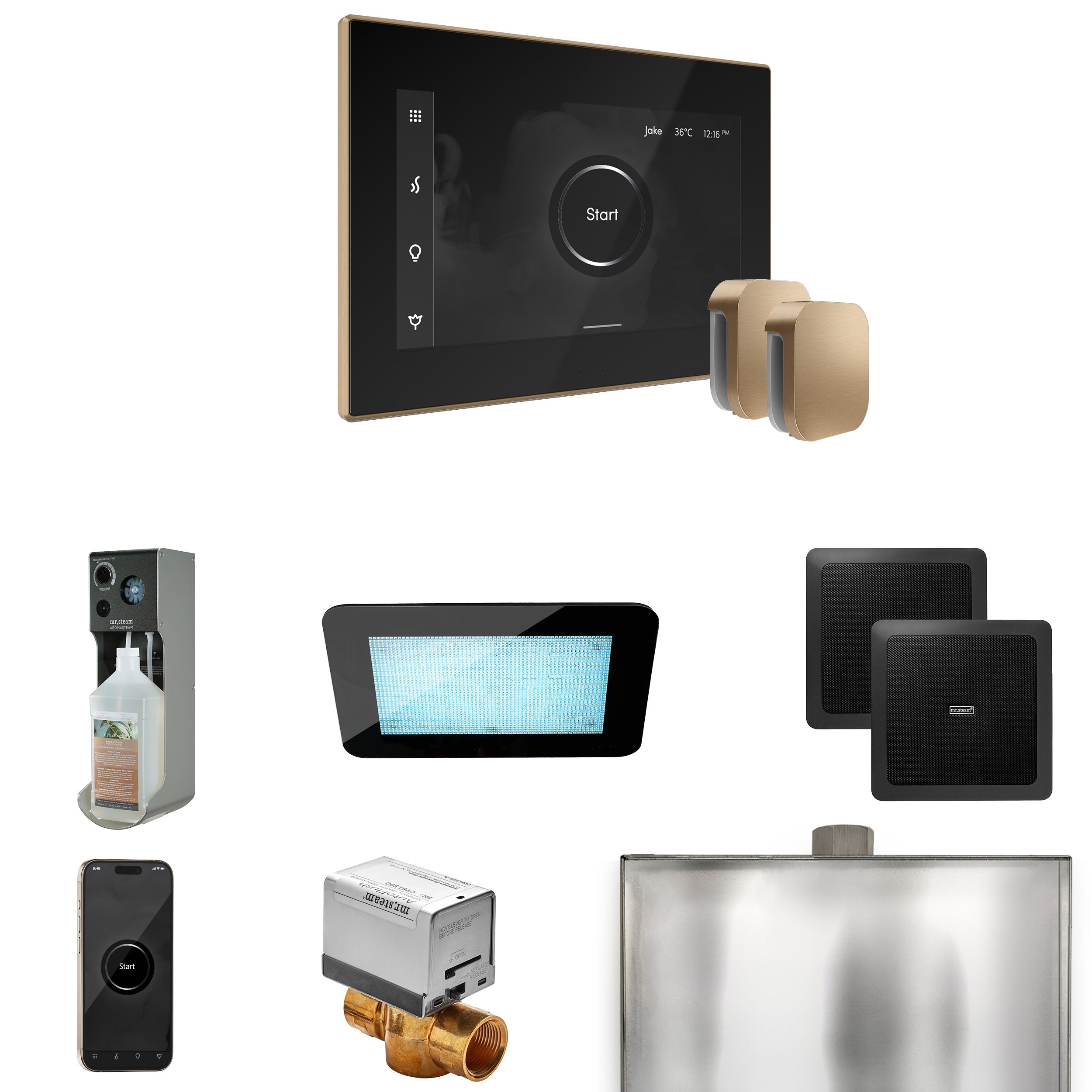 Mr. Steam XDream Max Steam Shower Control Package with iSteamX Control and Steamhead Mr. Steam