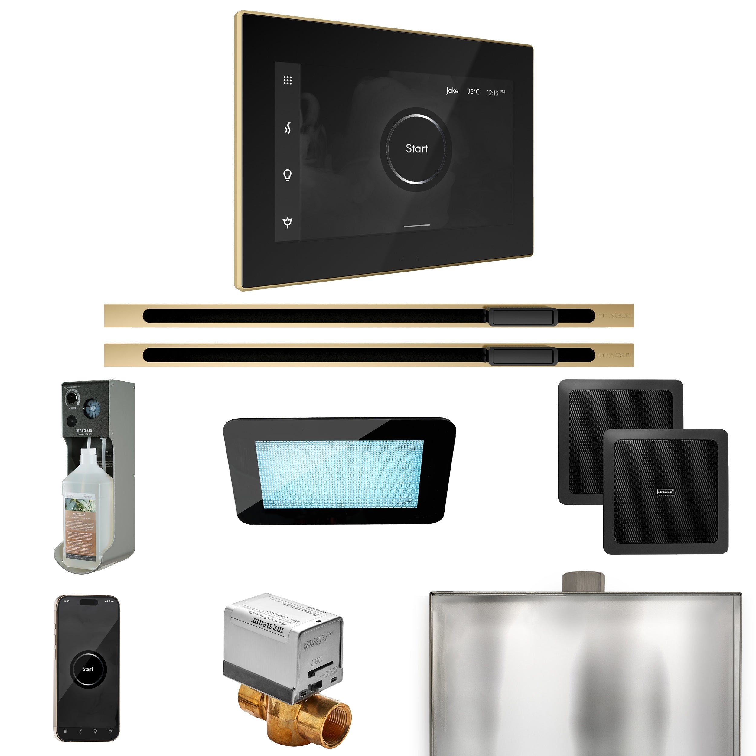 Mr. Steam XDream Max Steam Shower Control Package with iSteamX Control and Linear Steamhead Mr. Steam