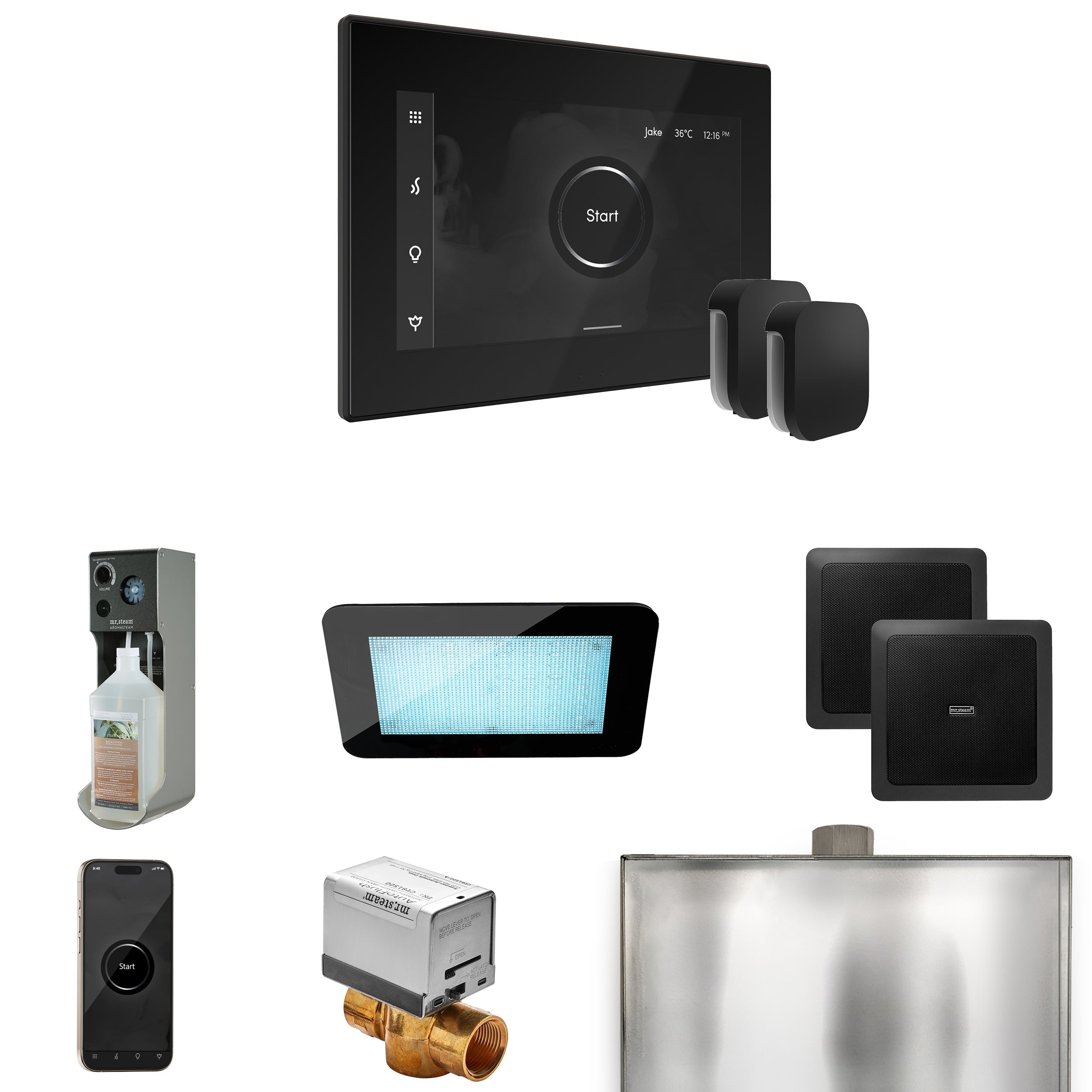 Mr. Steam XDream Max Steam Shower Control Package with iSteamX Control and Steamhead Mr. Steam