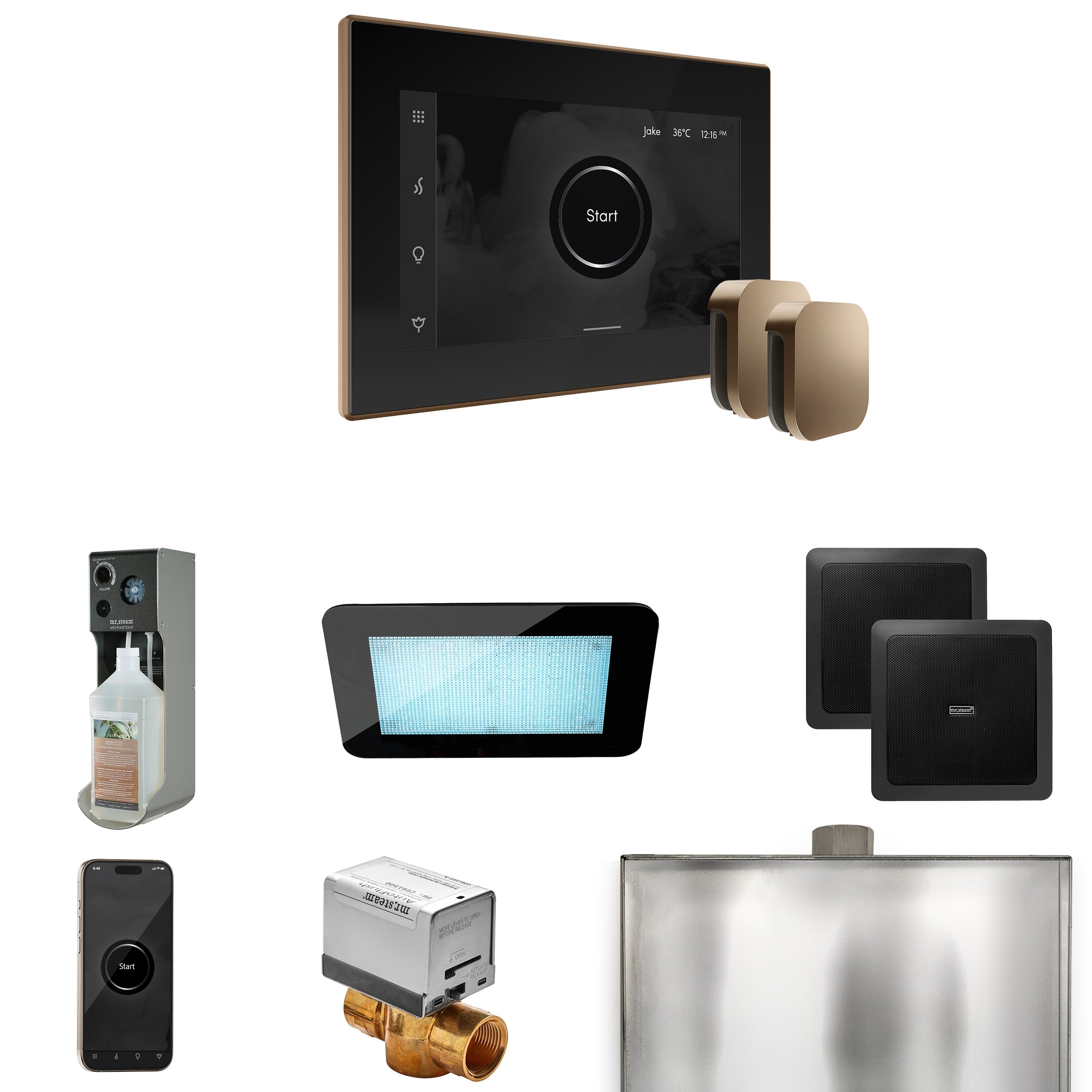 Mr. Steam XDream Max Steam Shower Control Package with iSteamX Control and Steamhead Mr. Steam