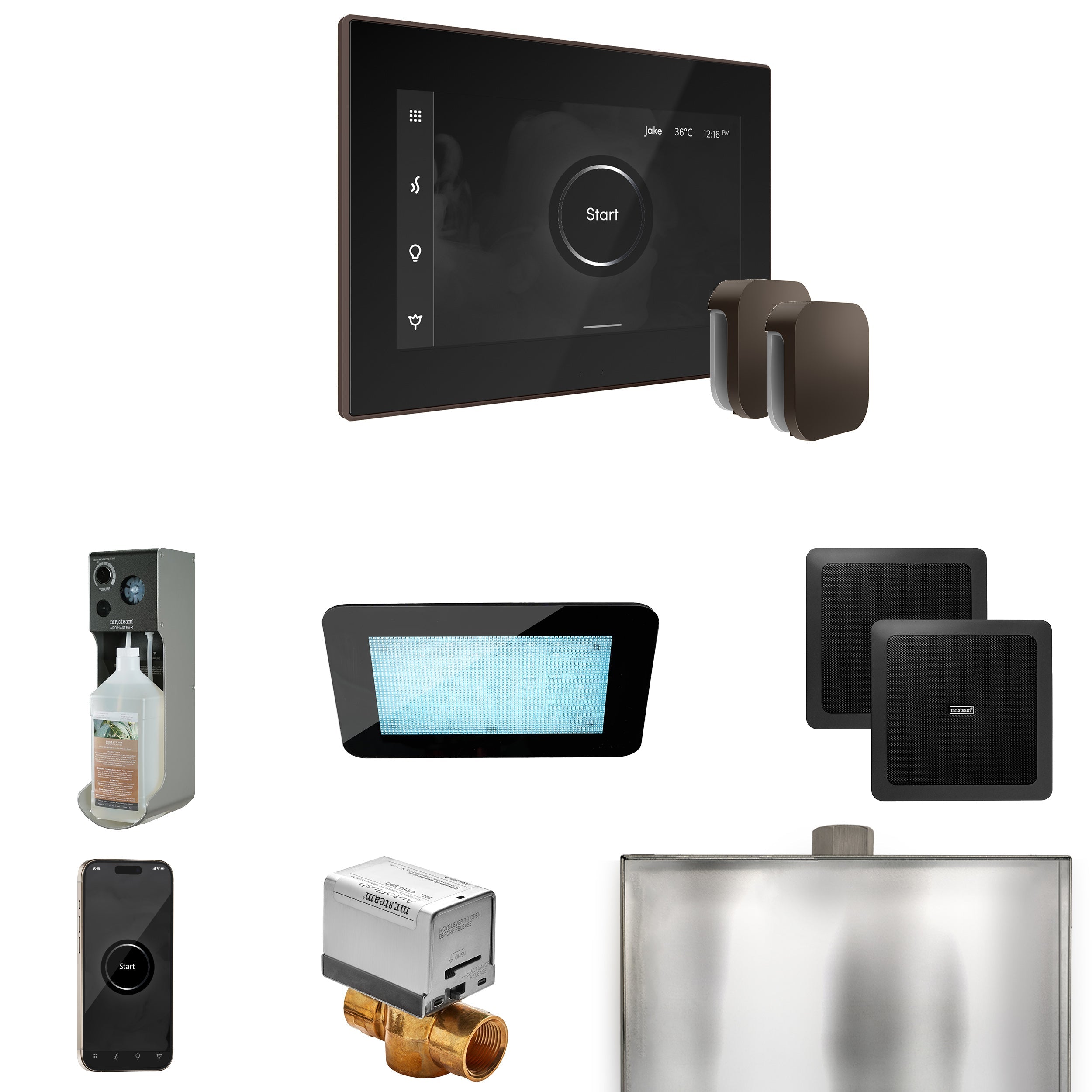Mr. Steam XDream Max Steam Shower Control Package with iSteamX Control and Steamhead Mr. Steam