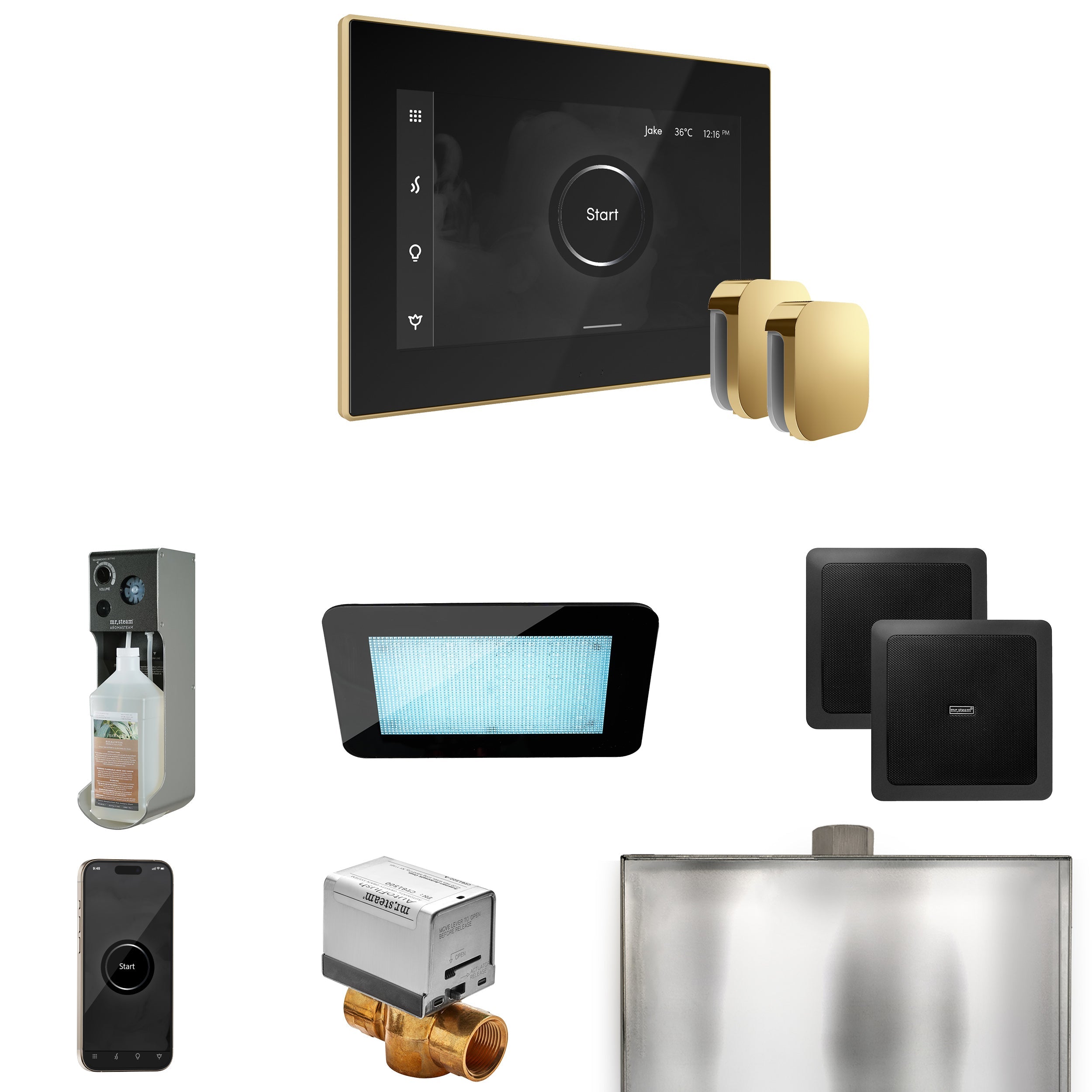 Mr. Steam XDream Max Steam Shower Control Package with iSteamX Control and Steamhead Mr. Steam