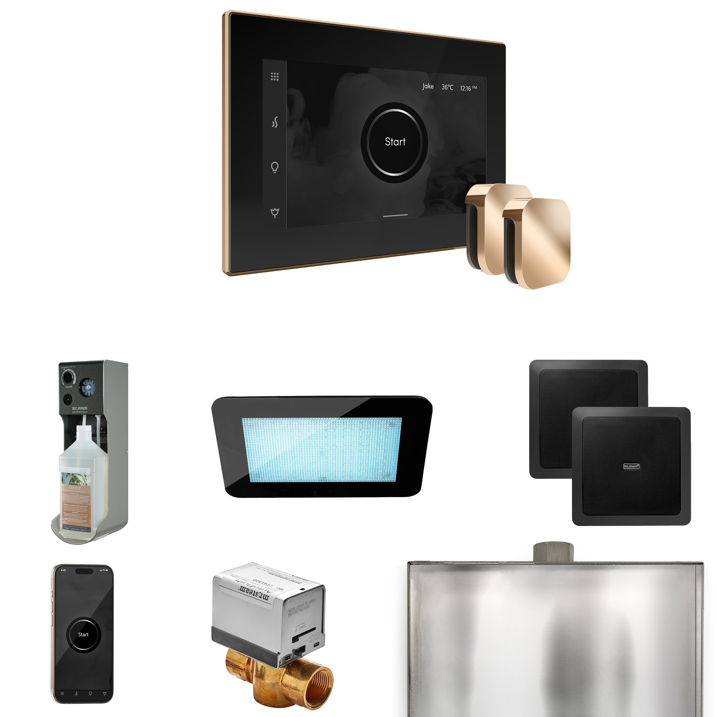 Mr. Steam XDream Max Steam Shower Control Package with iSteamX Control and Steamhead Mr. Steam