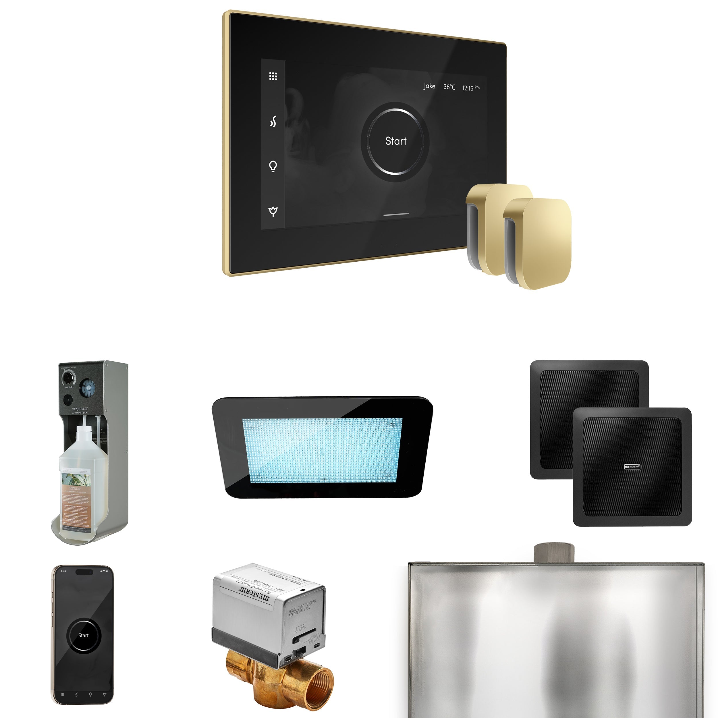 Mr. Steam XDream Max Steam Shower Control Package with iSteamX Control and Steamhead Mr. Steam