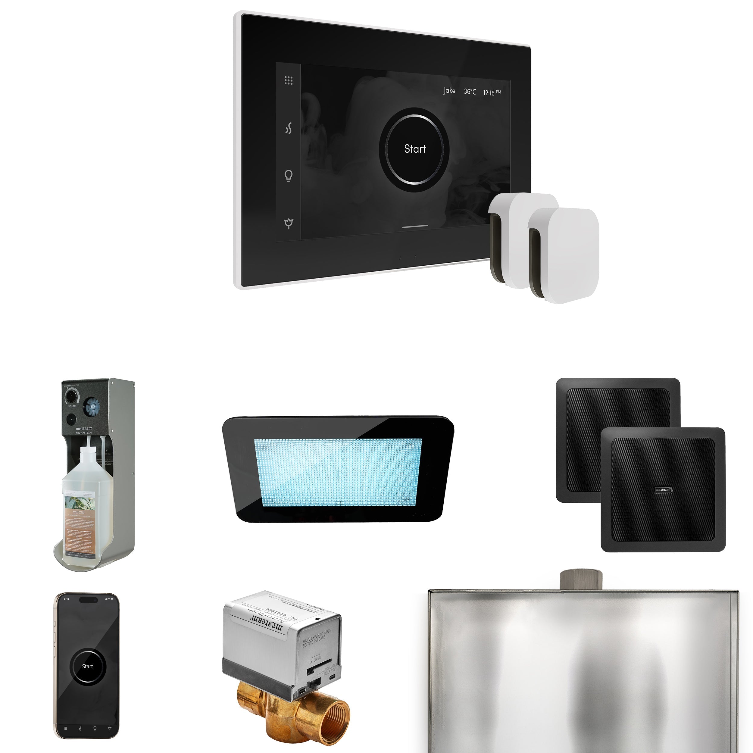 Mr. Steam XDream Max Steam Shower Control Package with iSteamX Control and Steamhead Mr. Steam